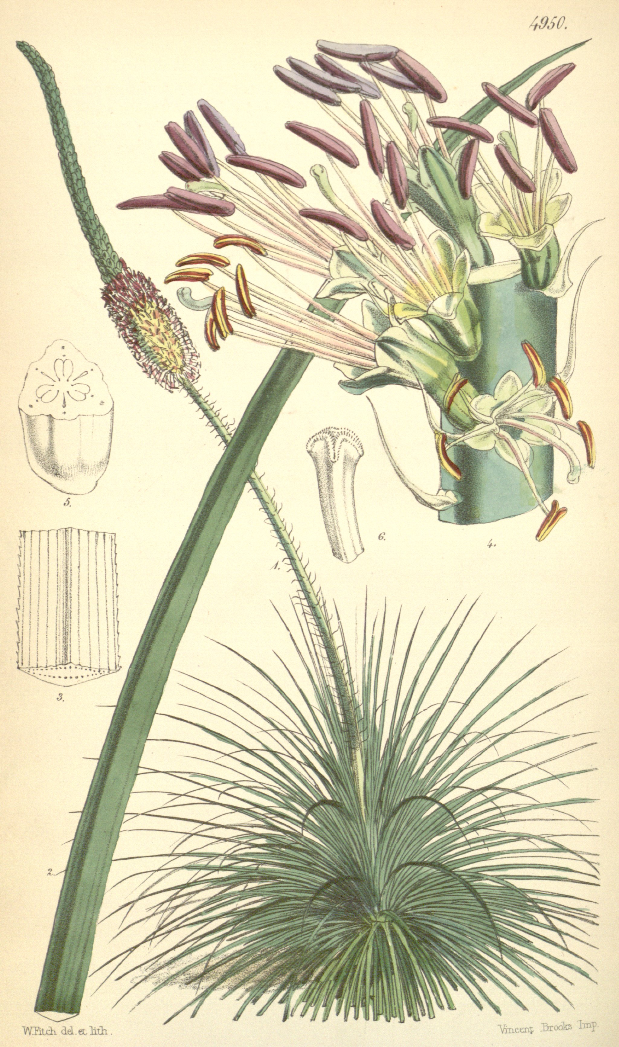 no full size  illustration available (3a)