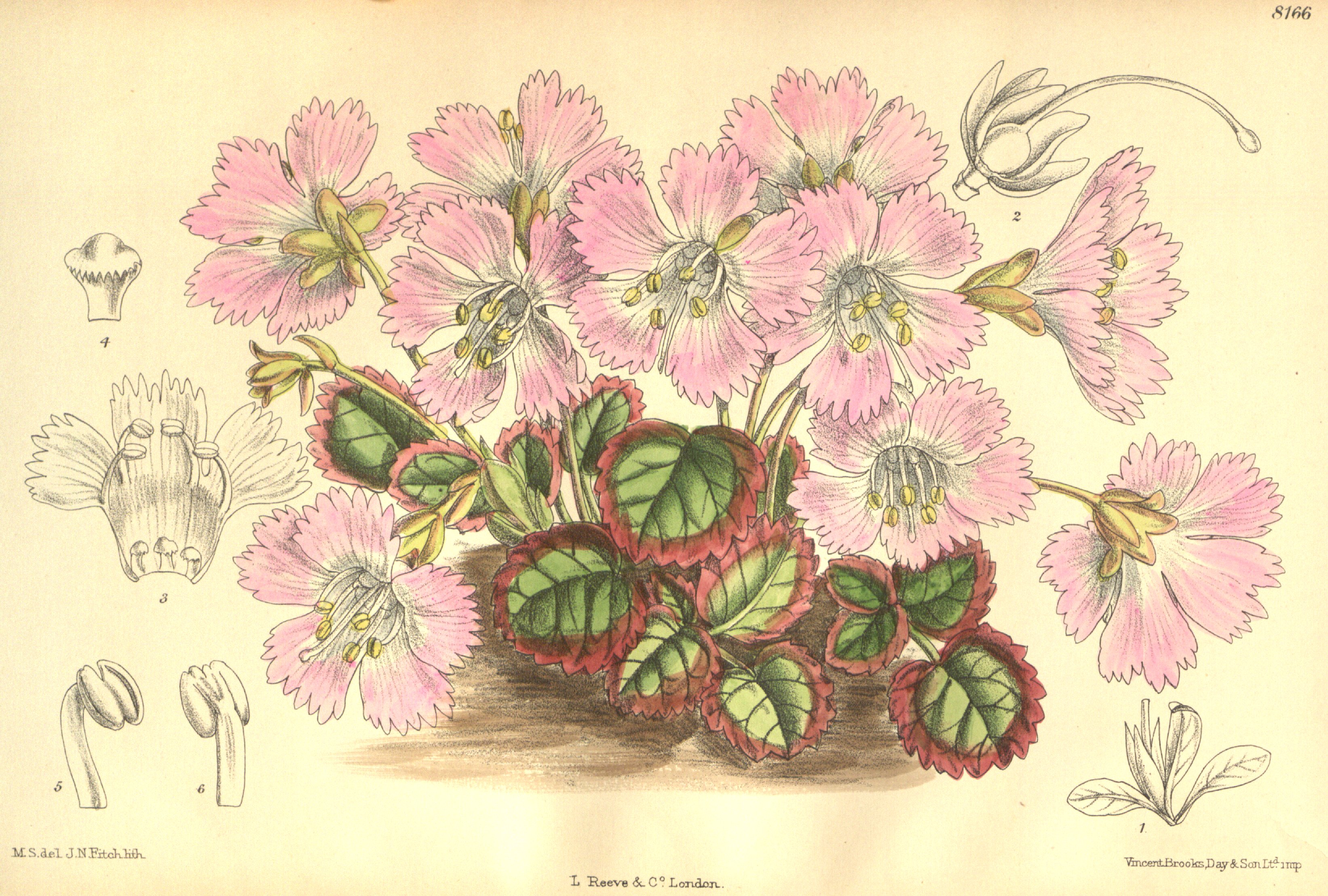 no full size  illustration available (3a)