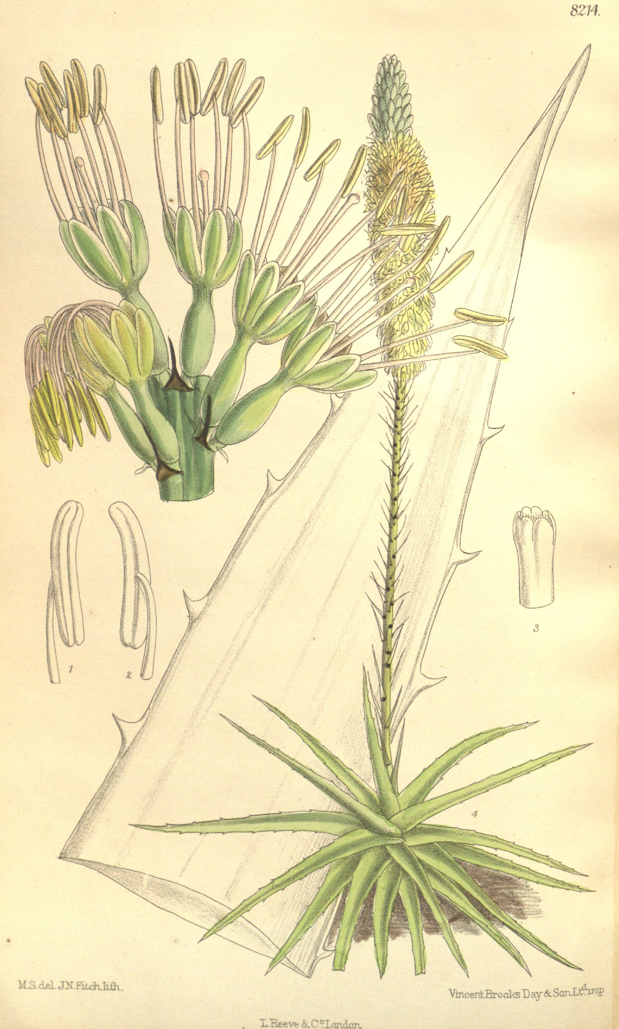 no full size  illustration available (3a)