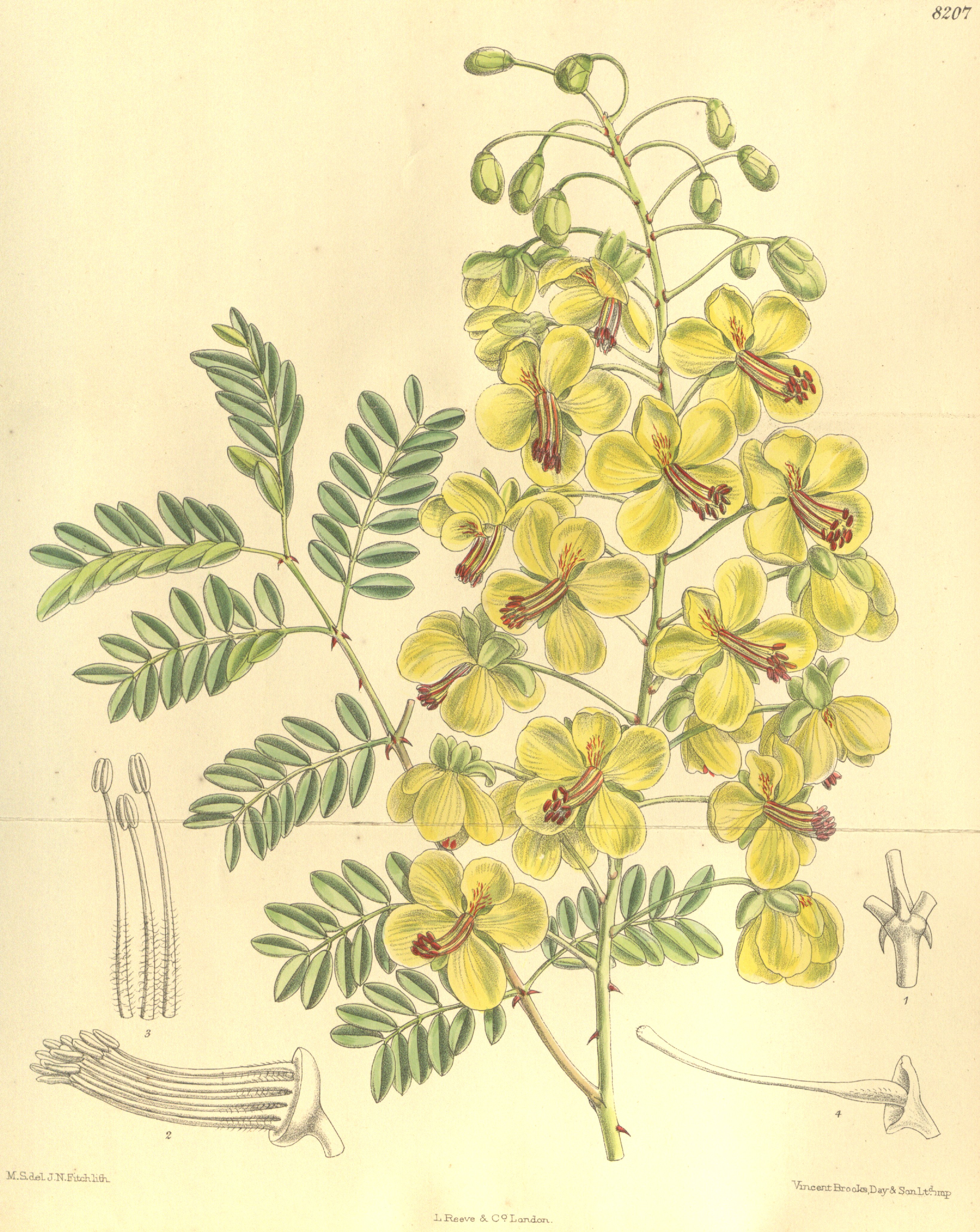 no full size  illustration available (3a)