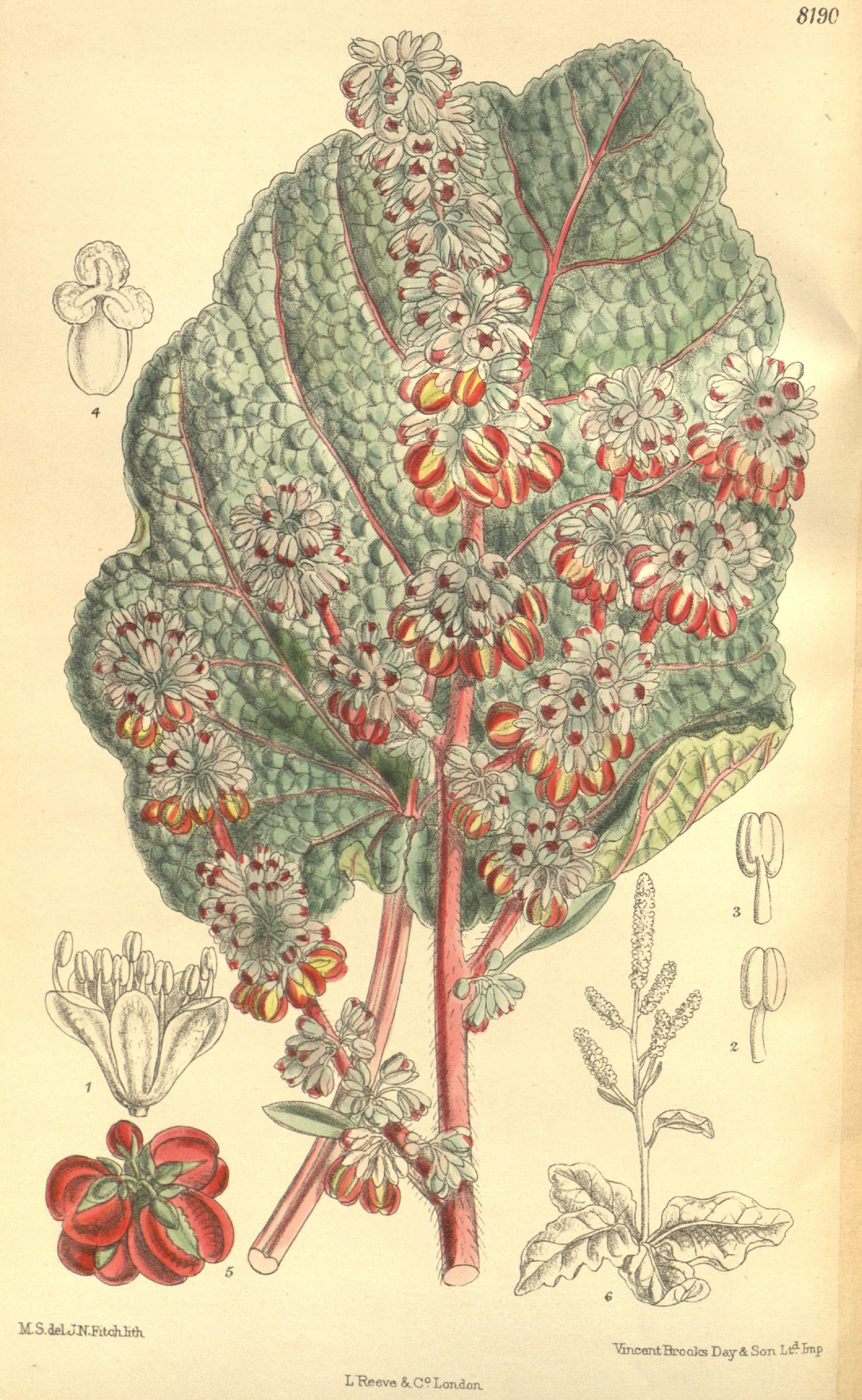 no full size  illustration available (3a)