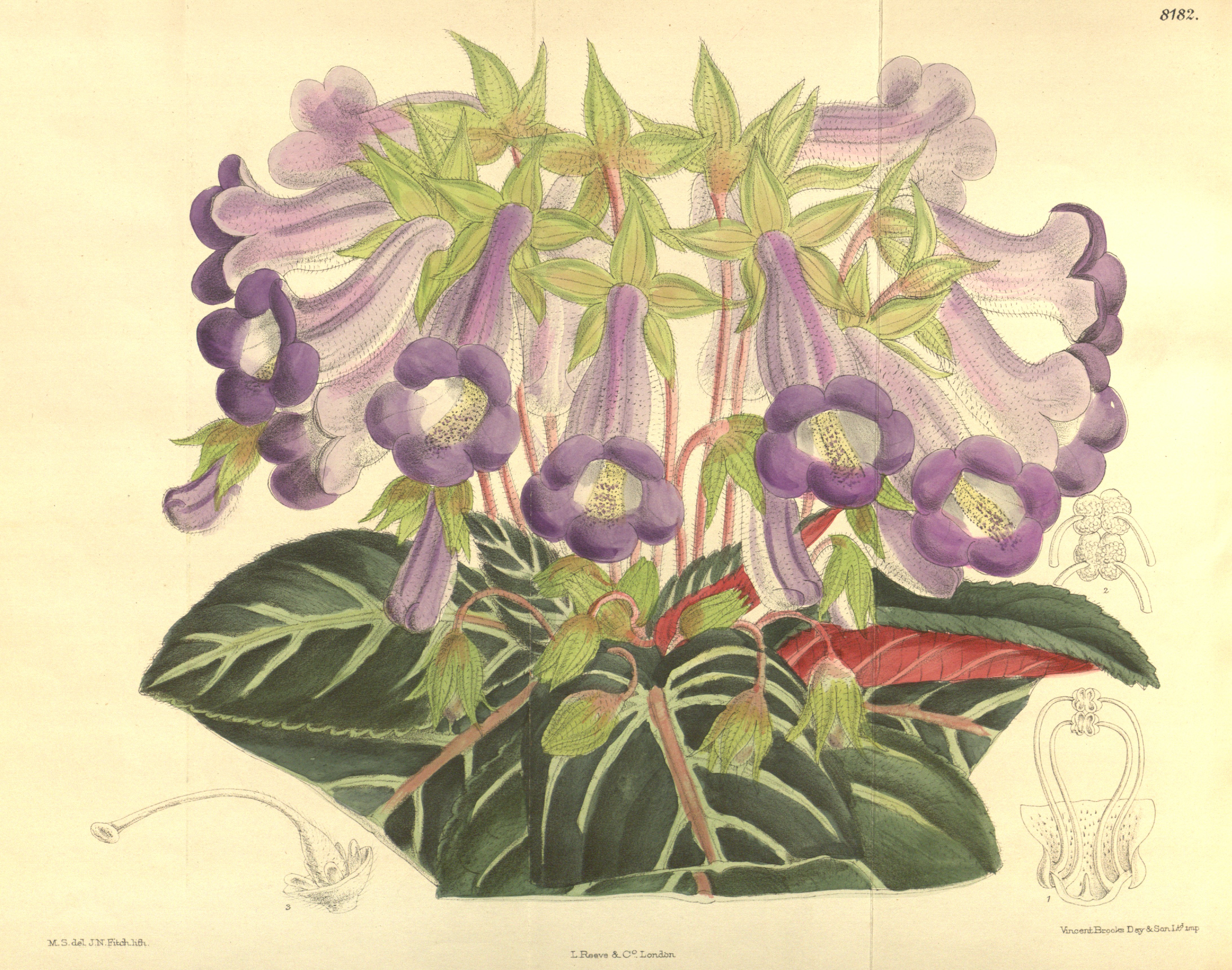 no full size  illustration available (3a)