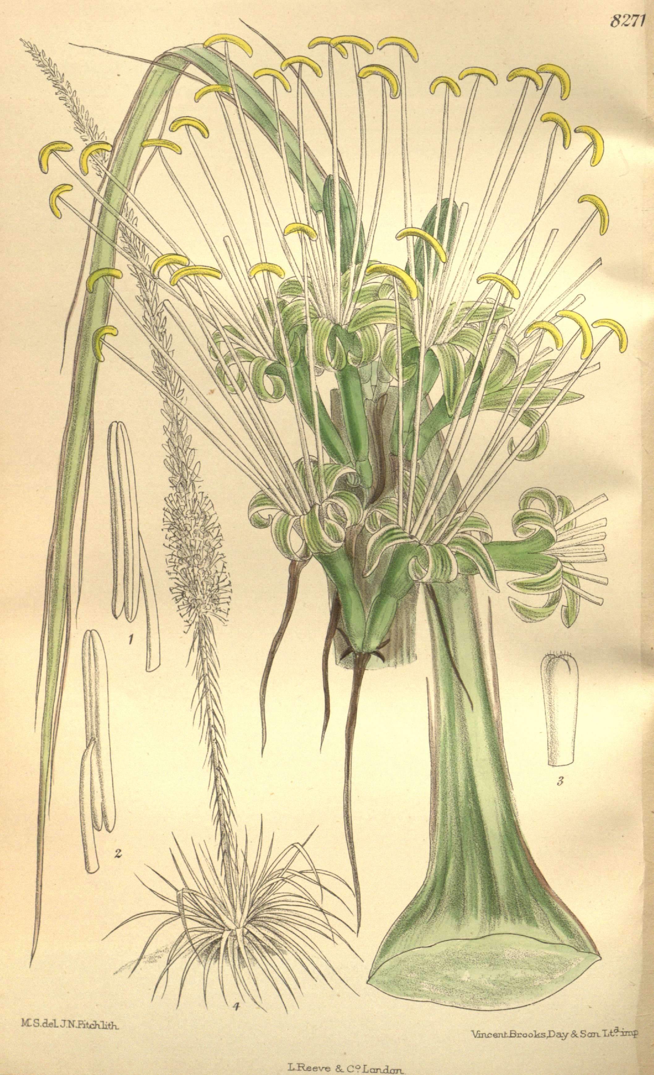 no full size  illustration available (3a)