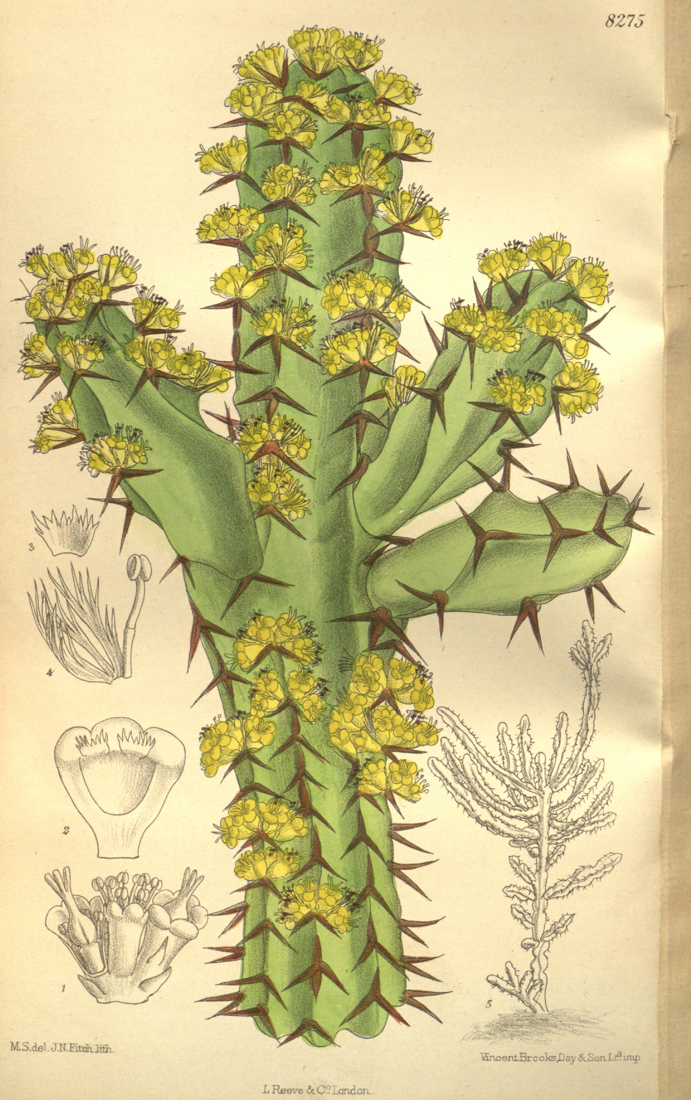 no full size  illustration available (3a)