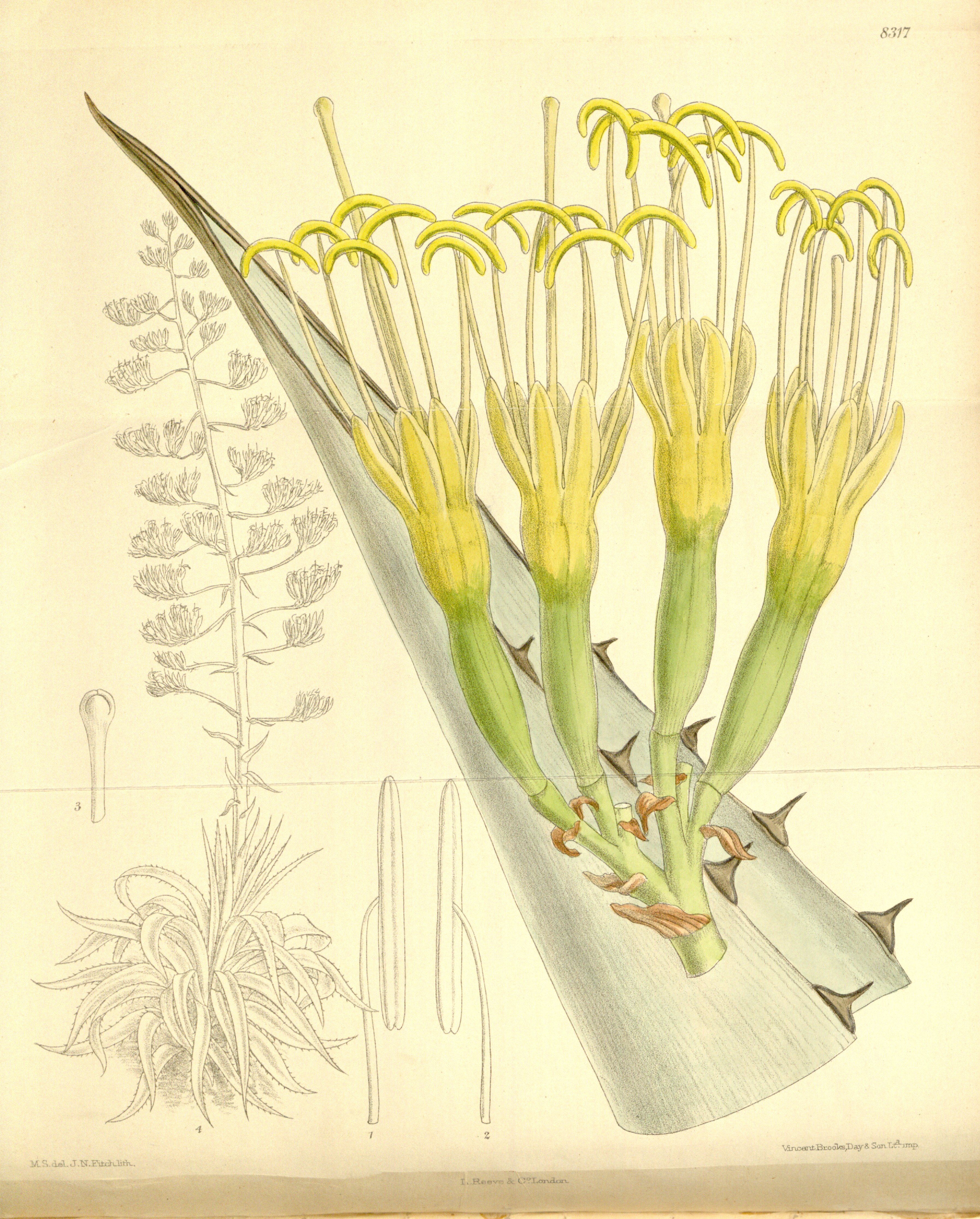 no full size  illustration available (3a)