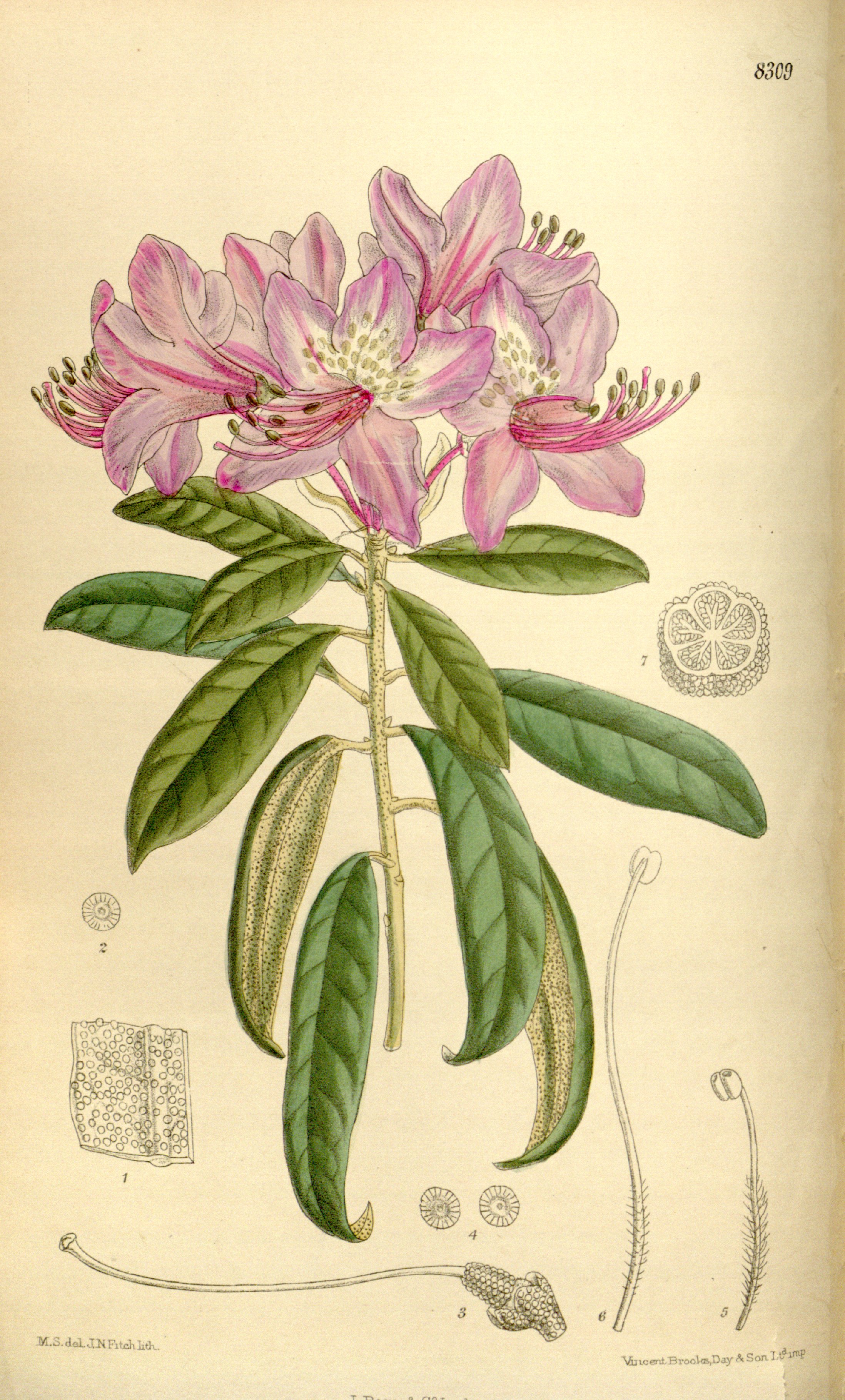 no full size  illustration available (3a)