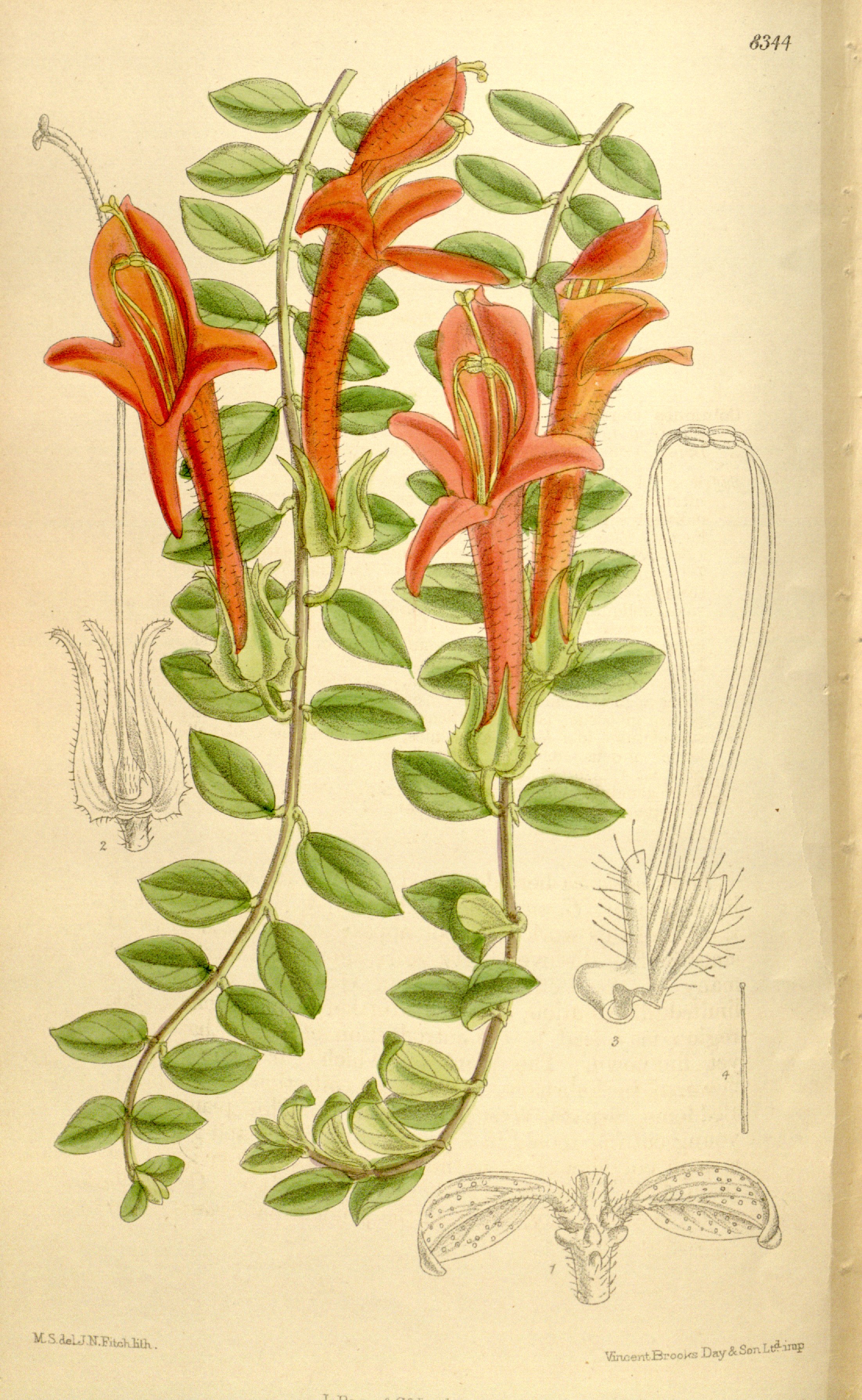 no full size  illustration available (3a)