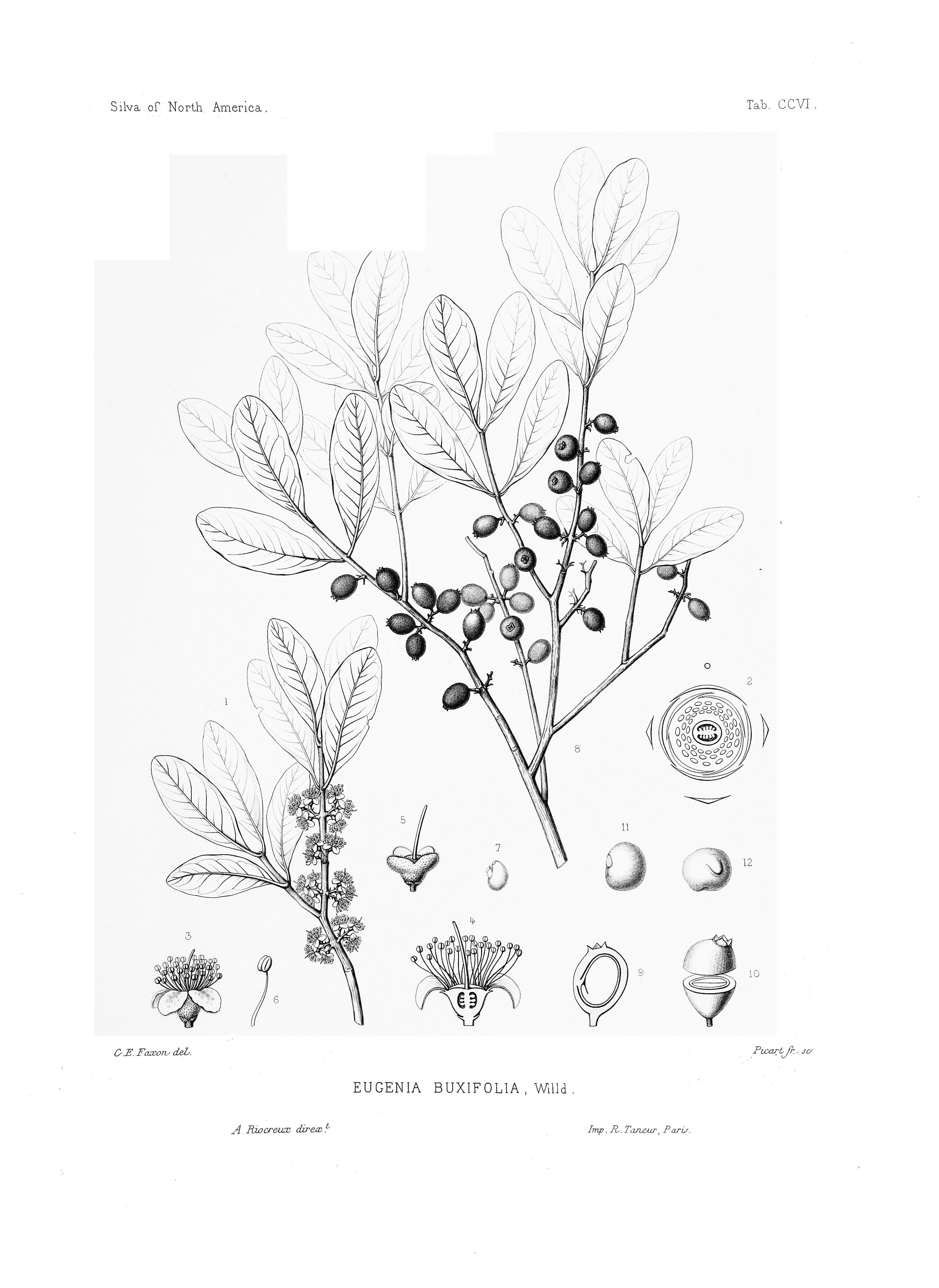 no full size  illustration available (3a)