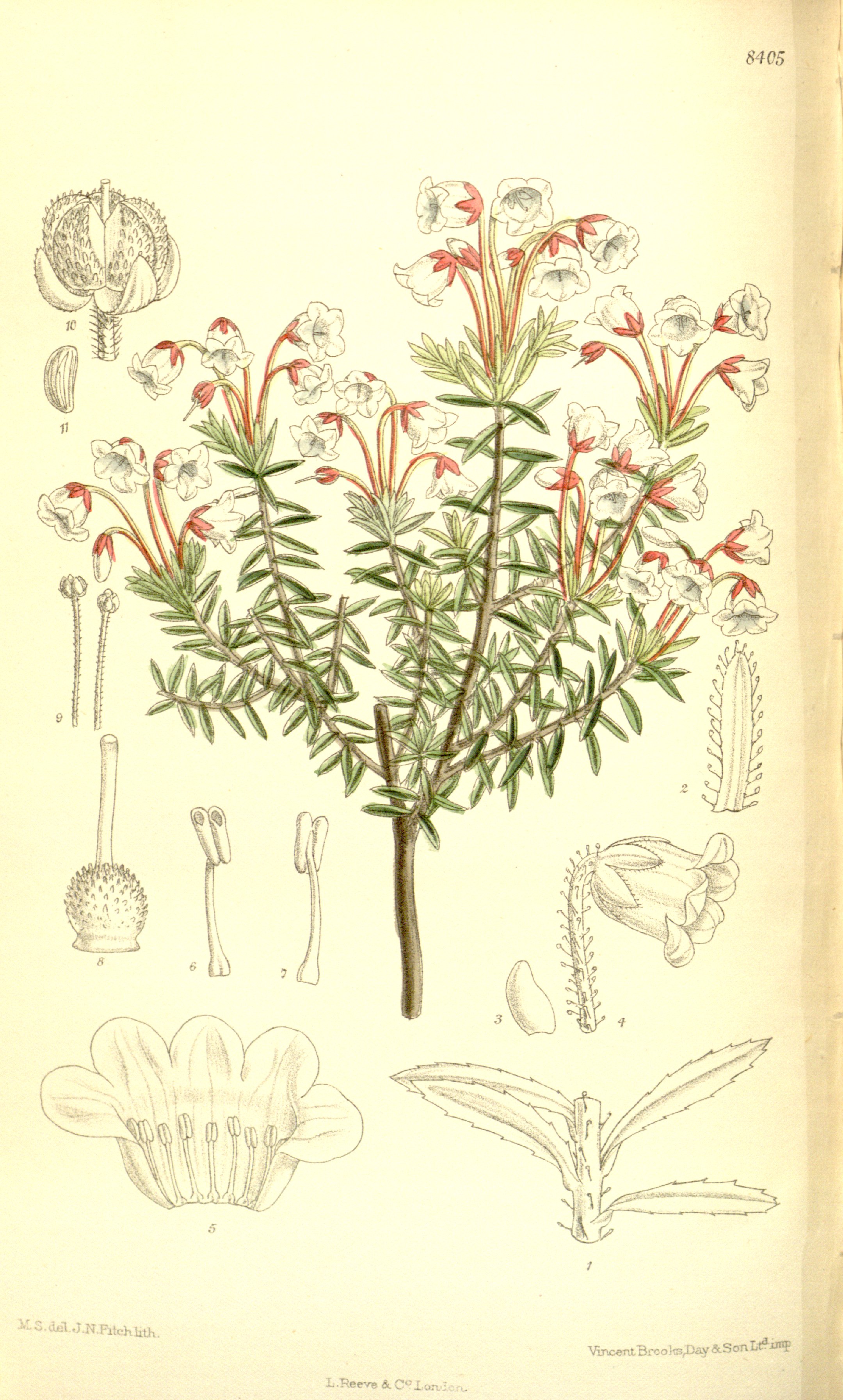 no full size  illustration available (3a)