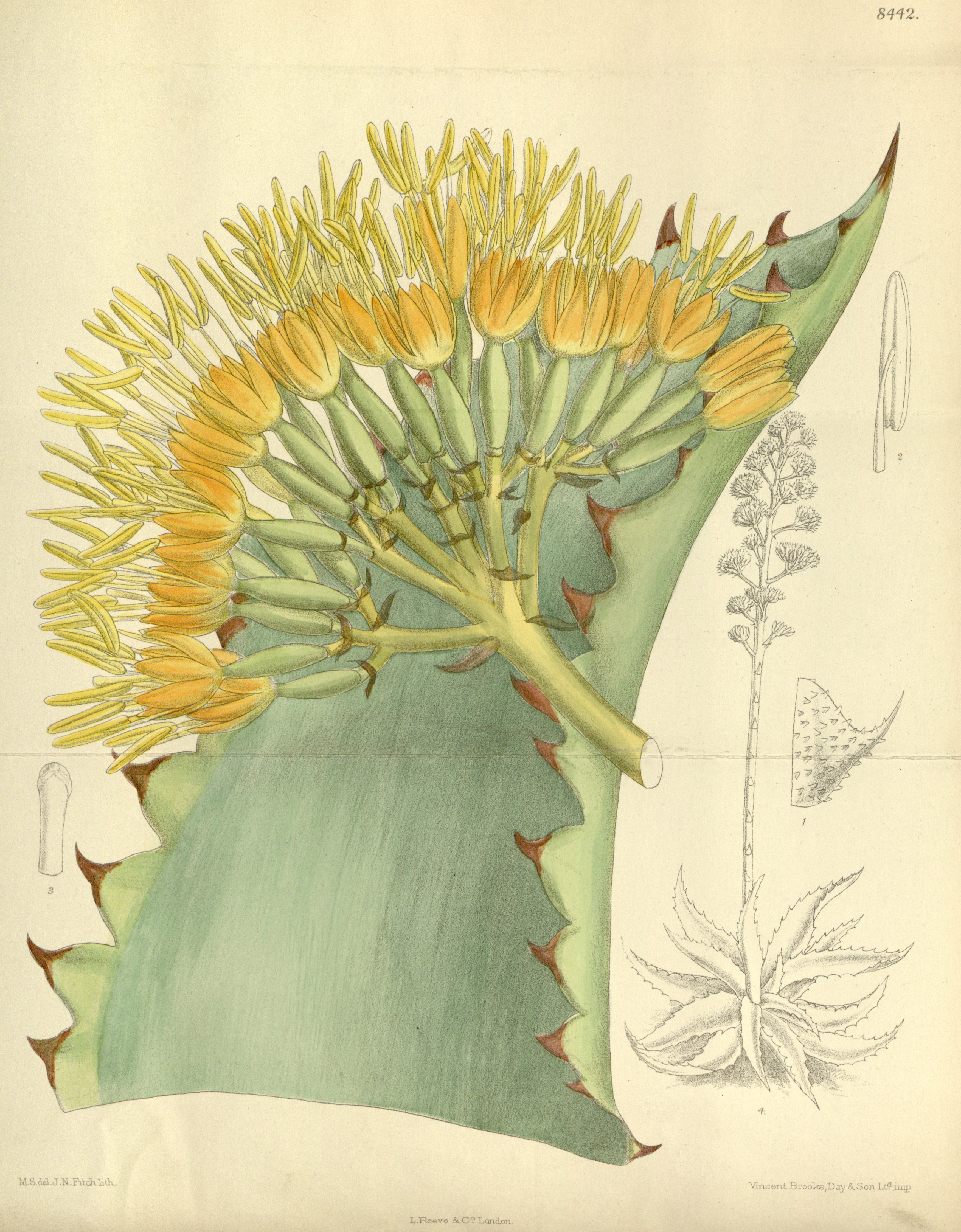 no full size  illustration available (3a)