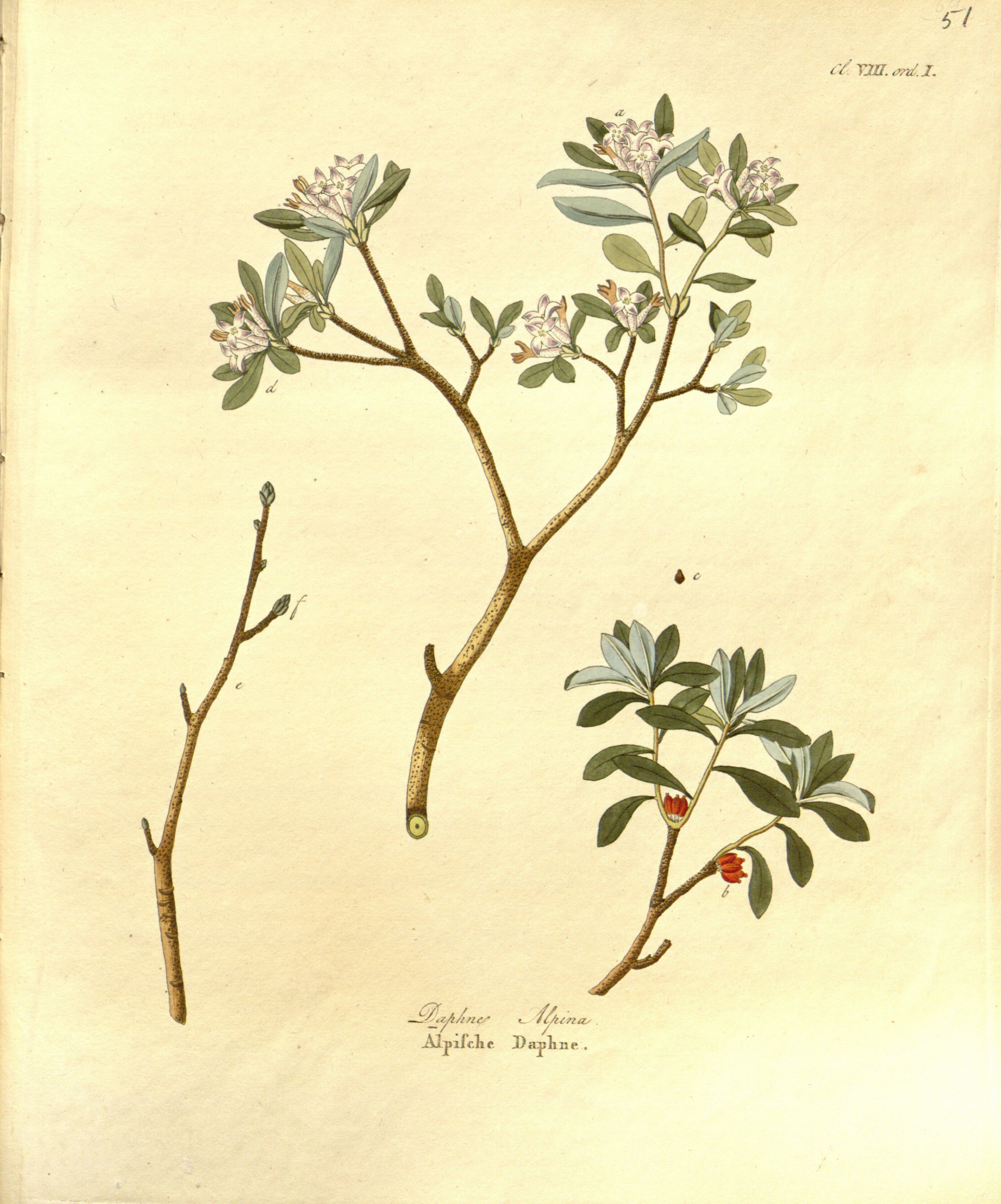 no full size  illustration available (3a)