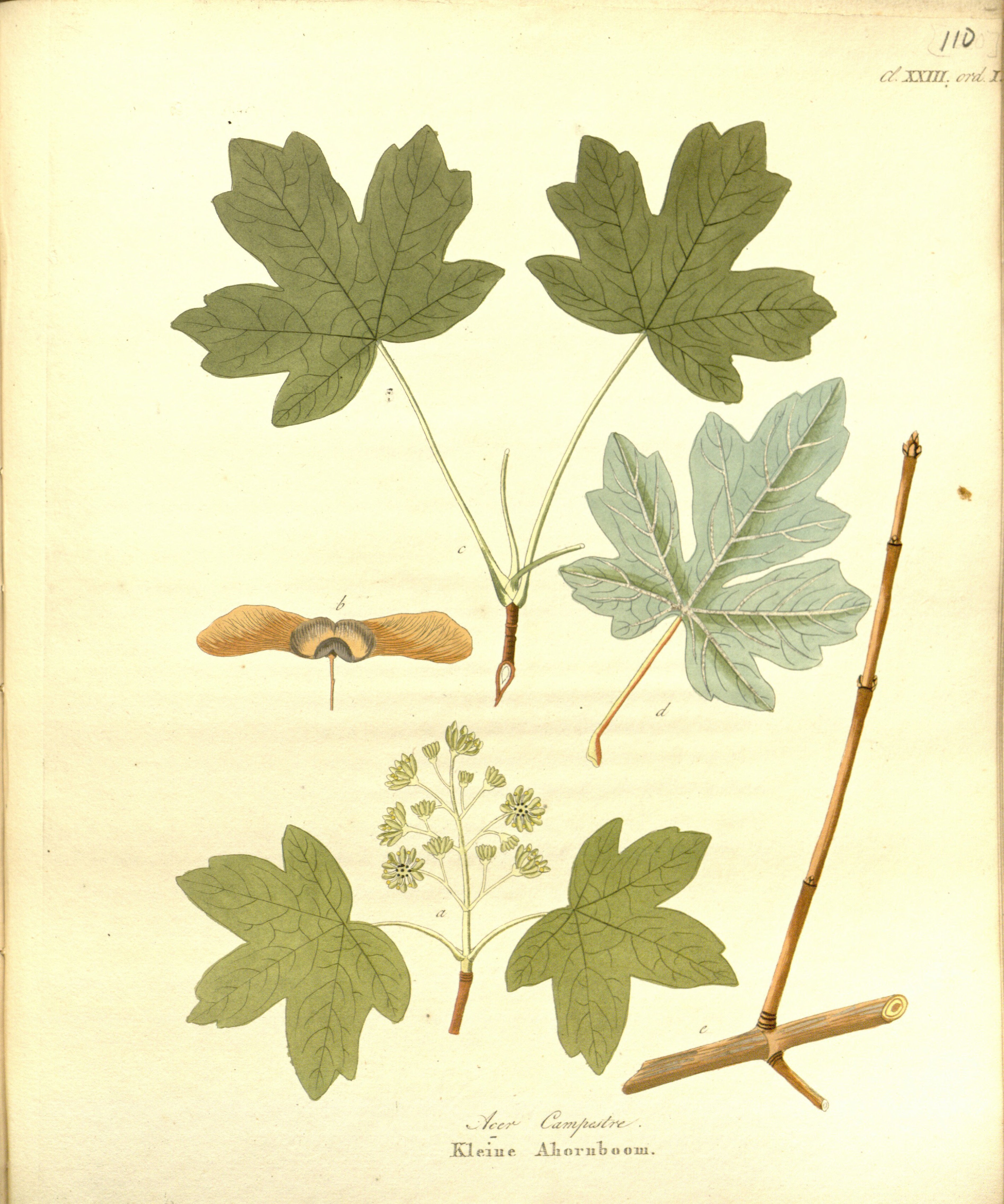 no full size  illustration available (3a)