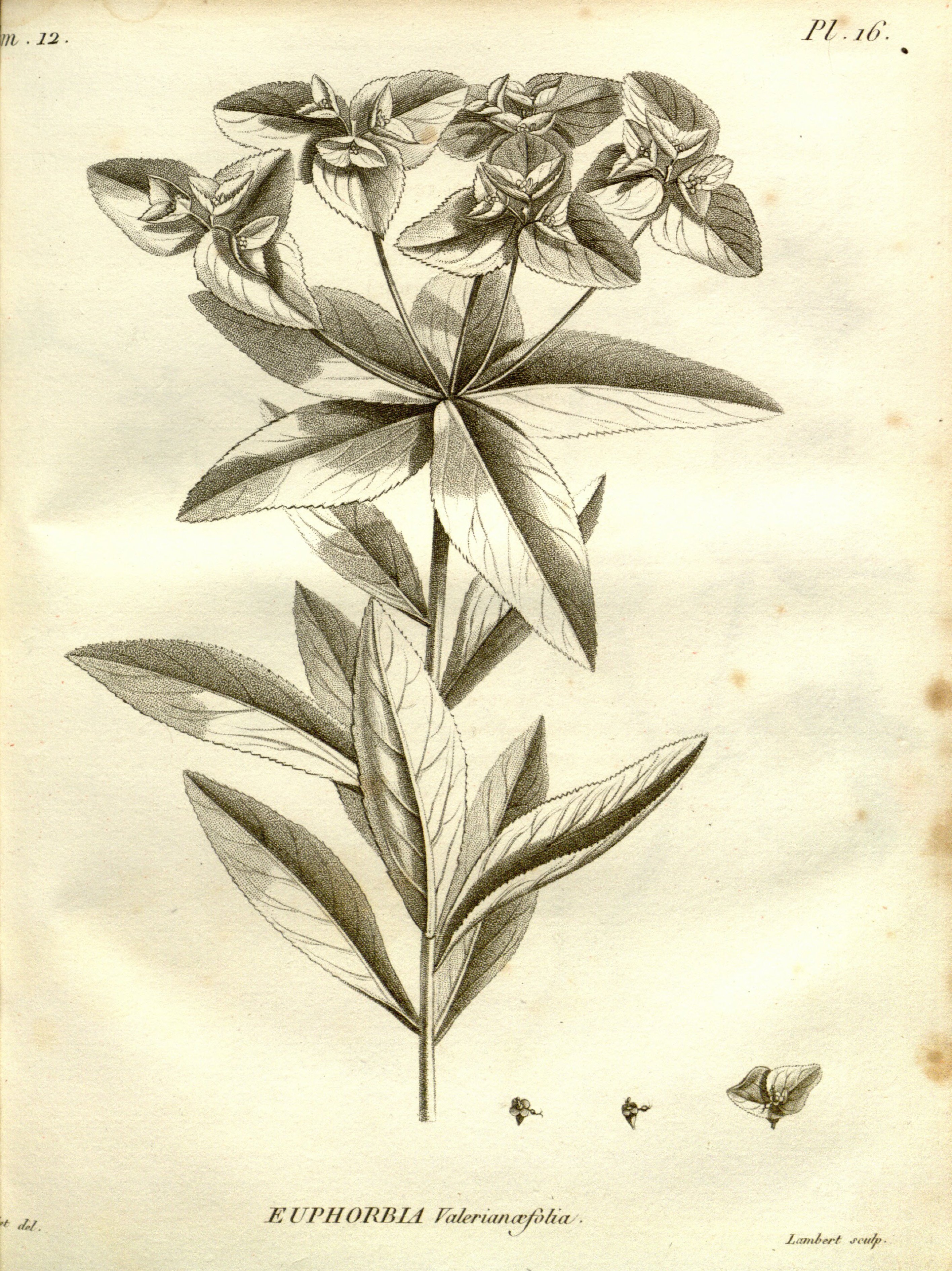 no full size  illustration available (3a)