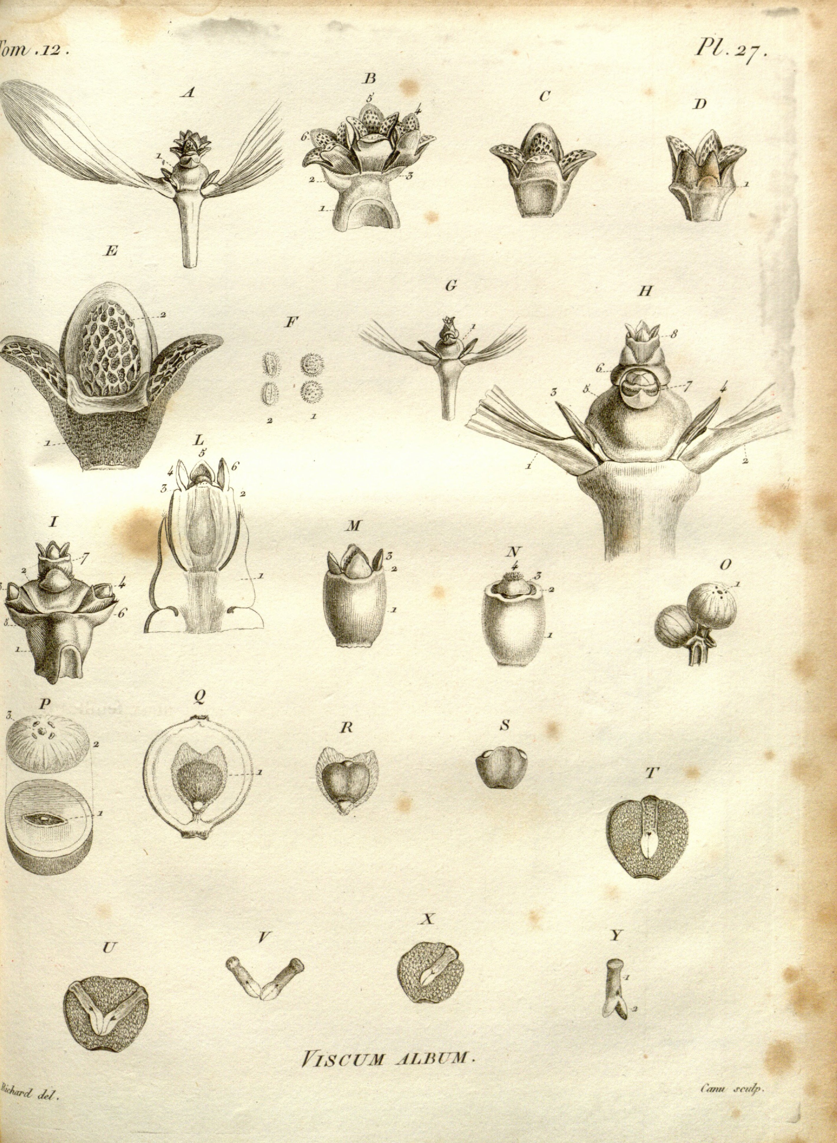 no full size  illustration available (3a)