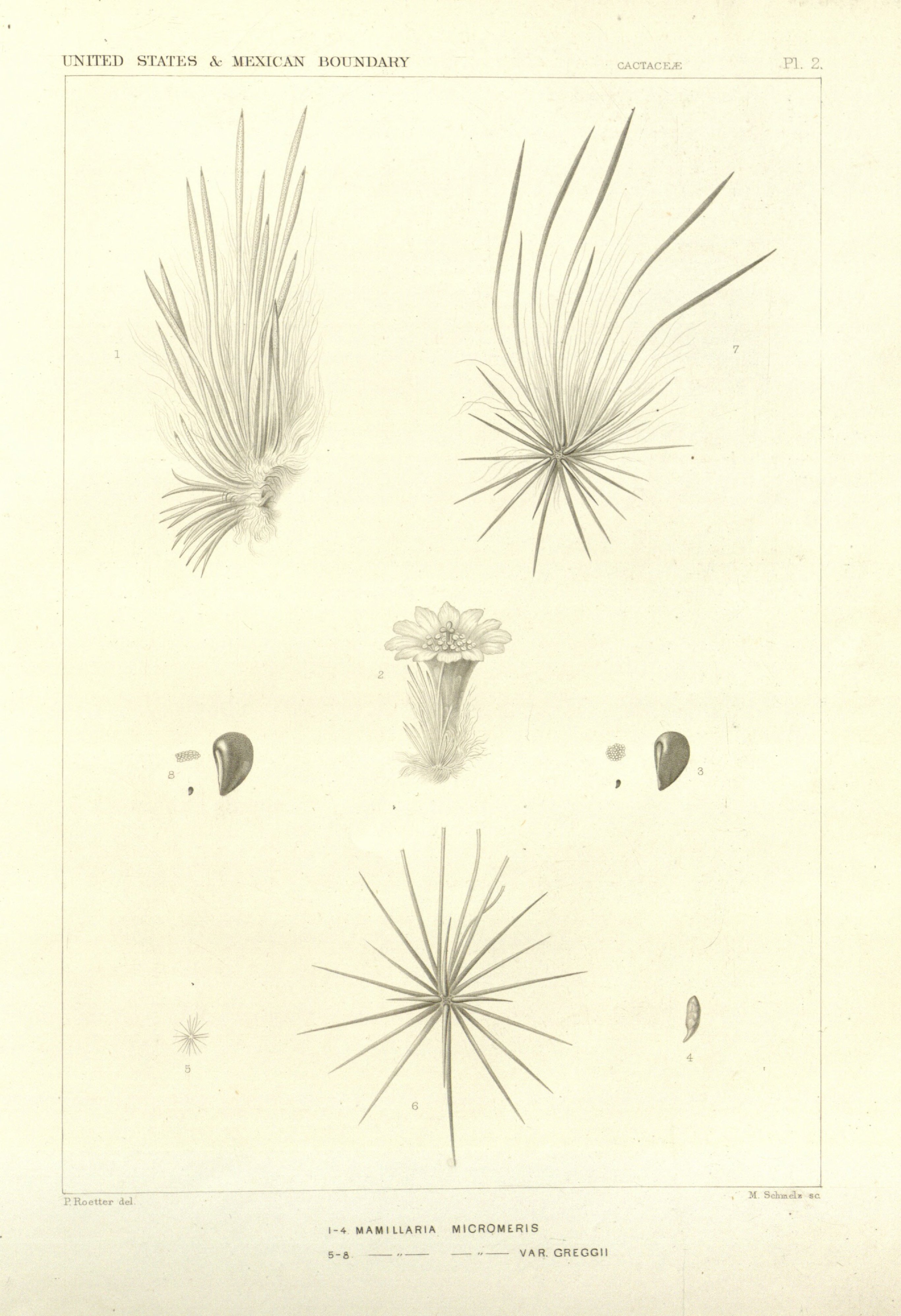 no full size  illustration available (3a)