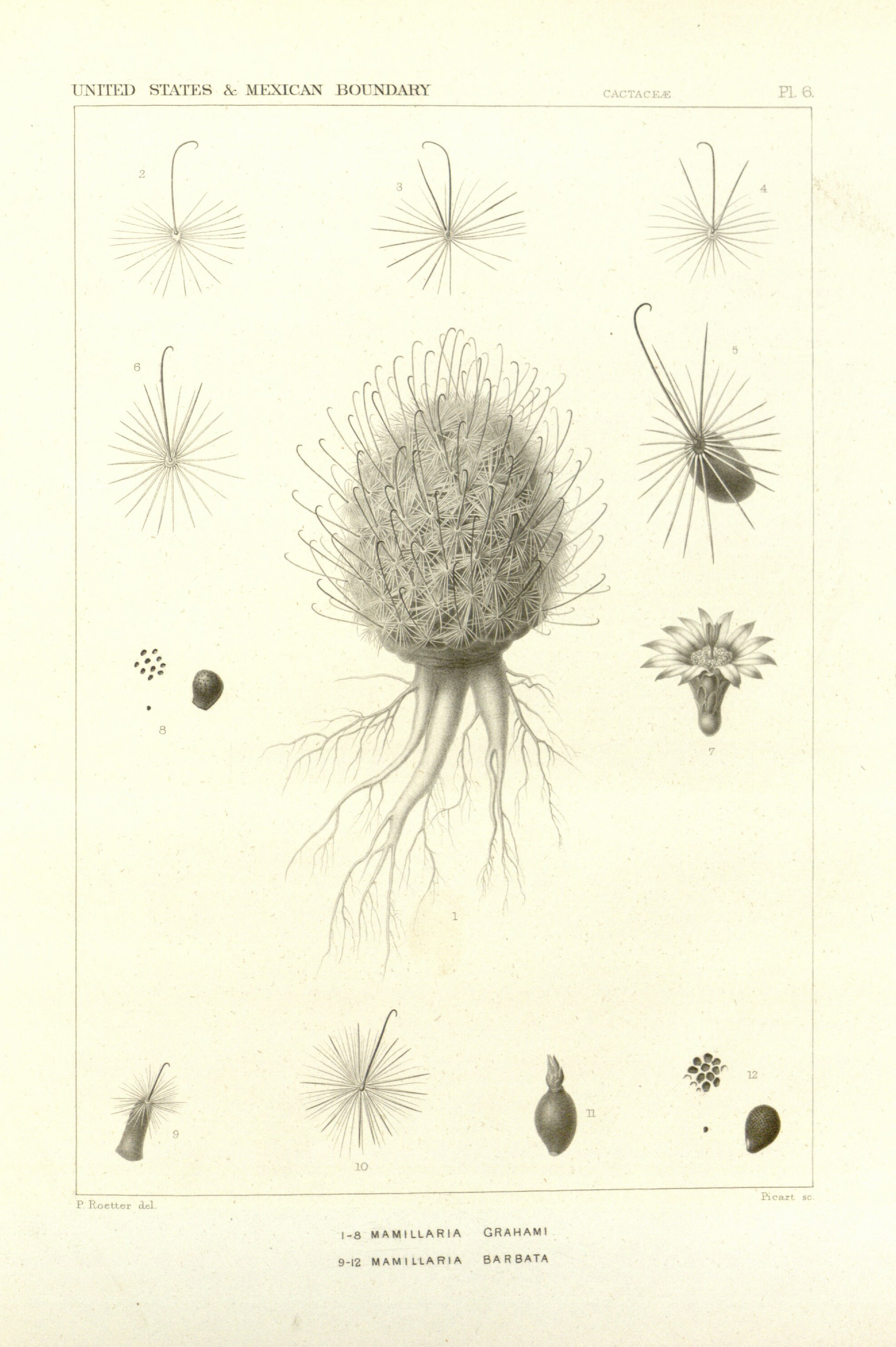 no full size  illustration available (3a)