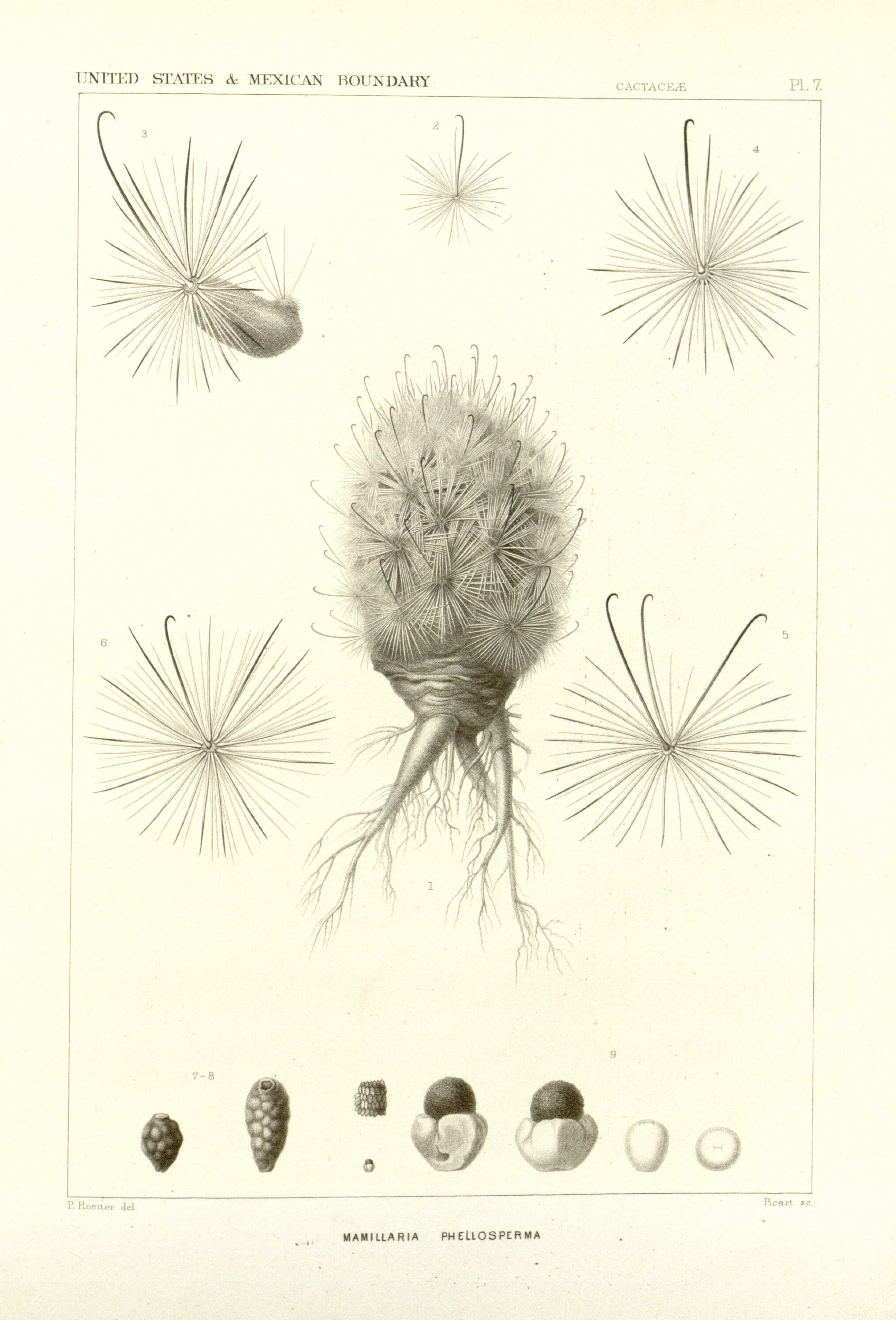 no full size  illustration available (3a)