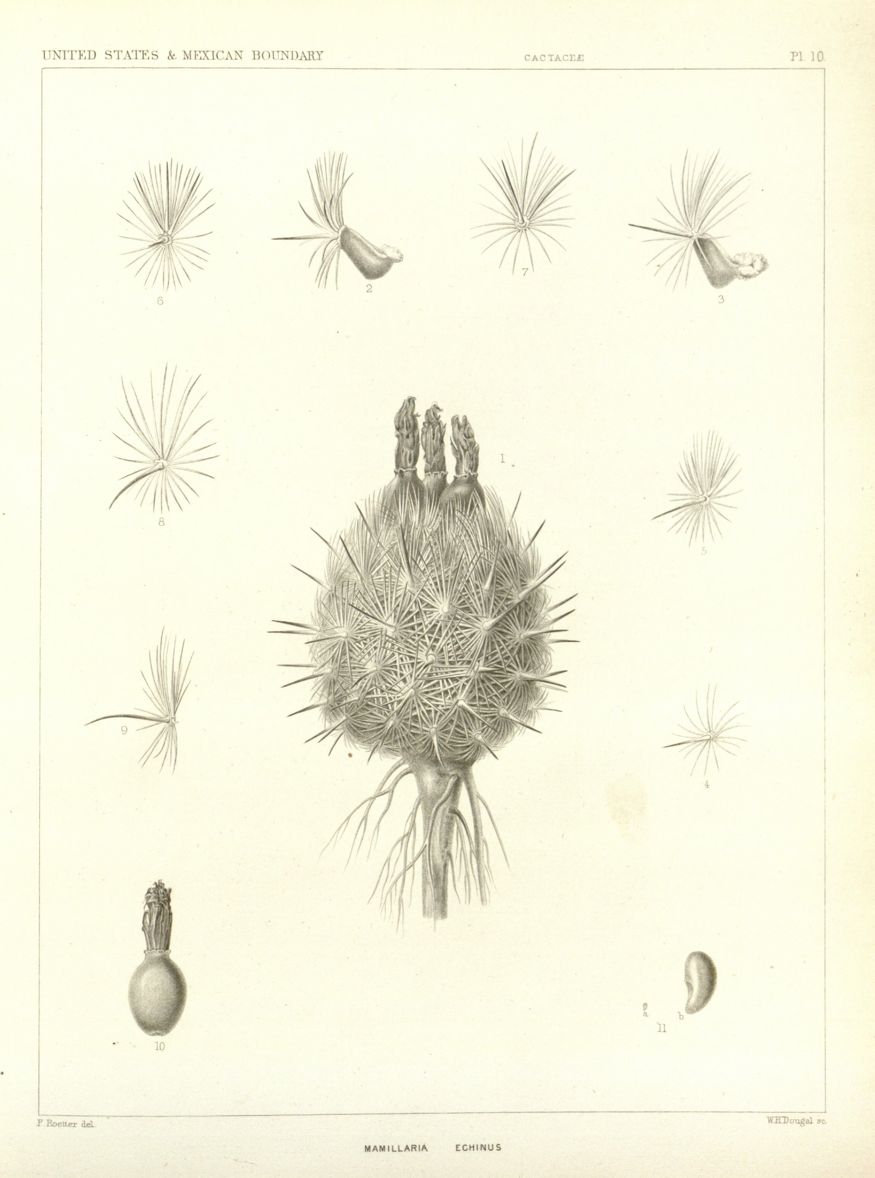 no full size  illustration available (3a)