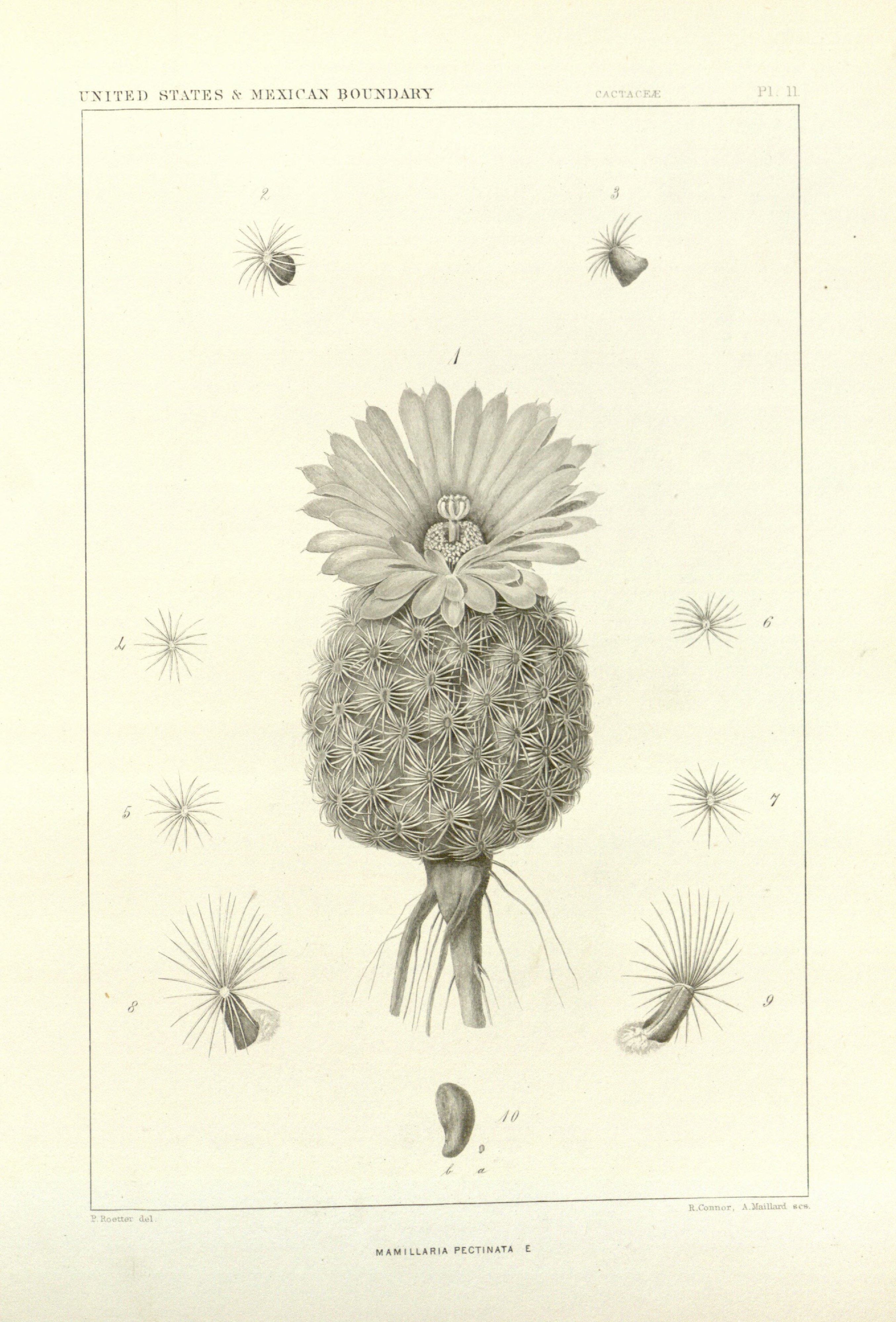 no full size  illustration available (3a)