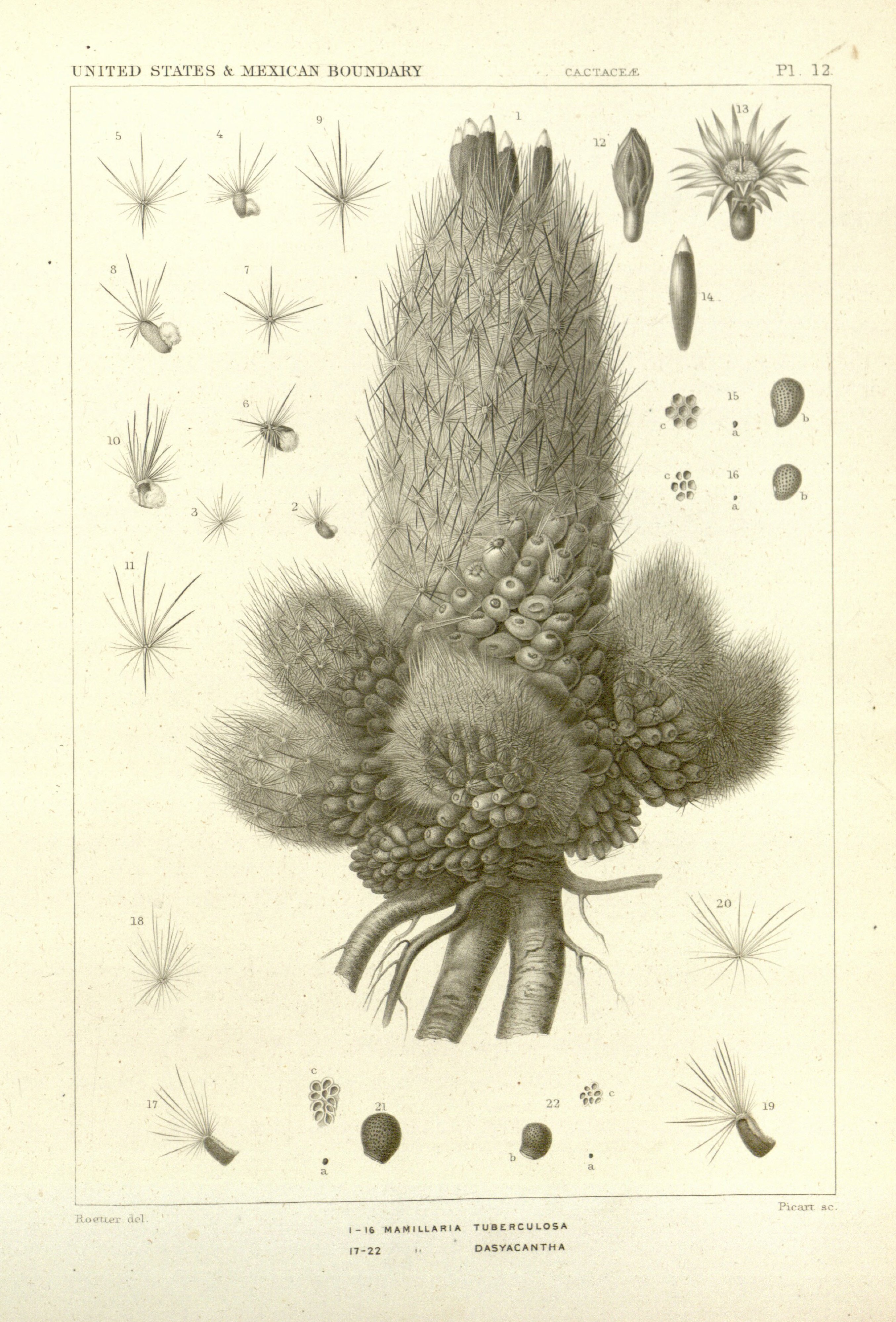 no full size  illustration available (3a)