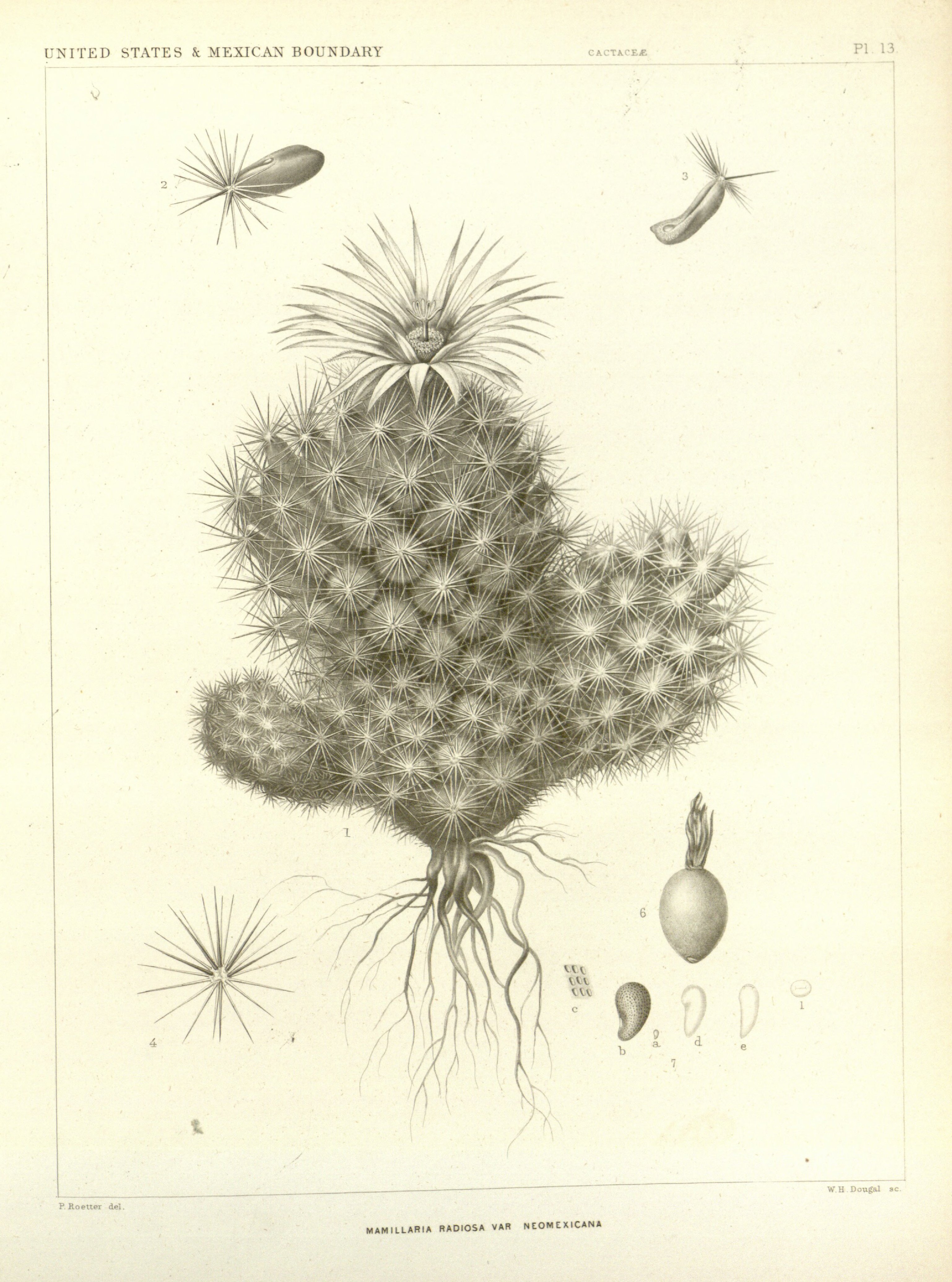 no full size  illustration available (3a)