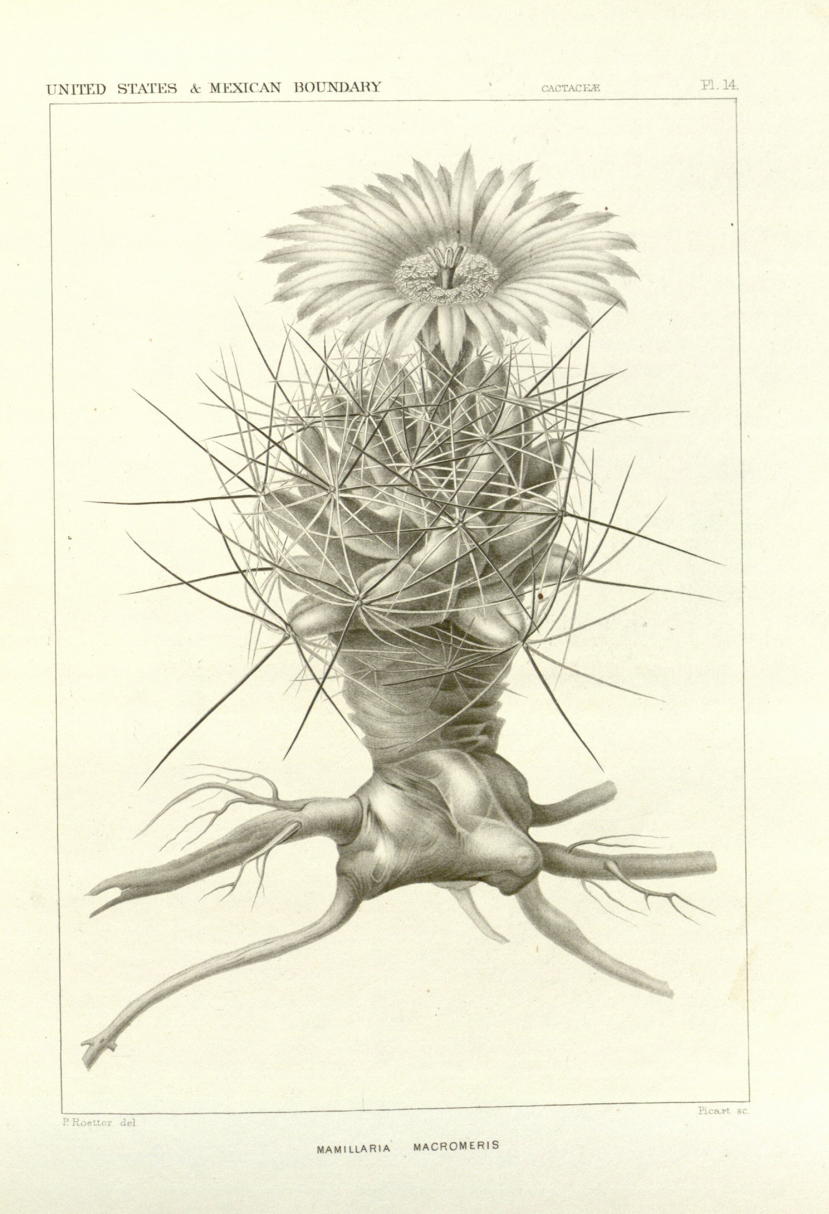 no full size  illustration available (3a)