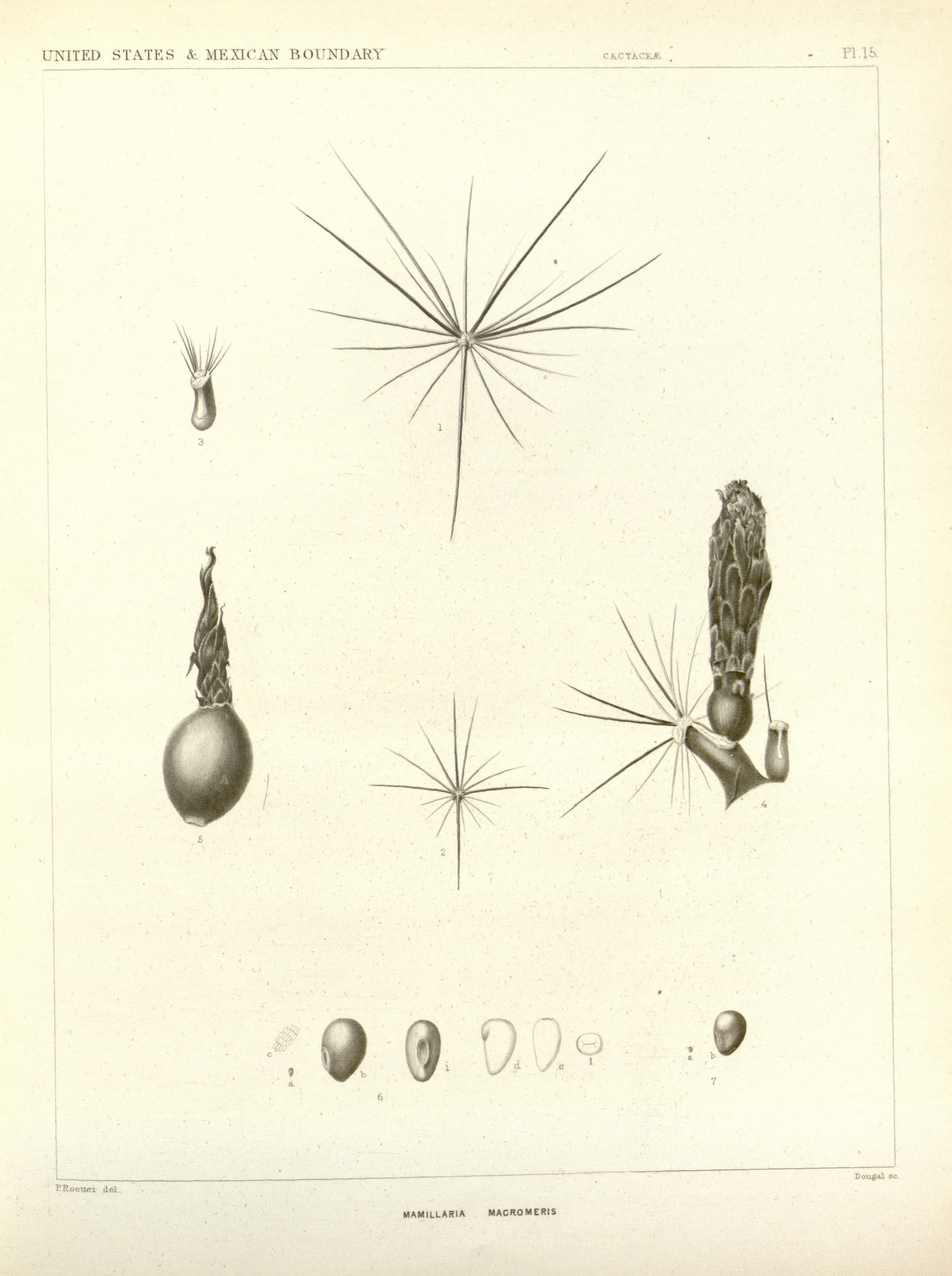 no full size  illustration available (3a)