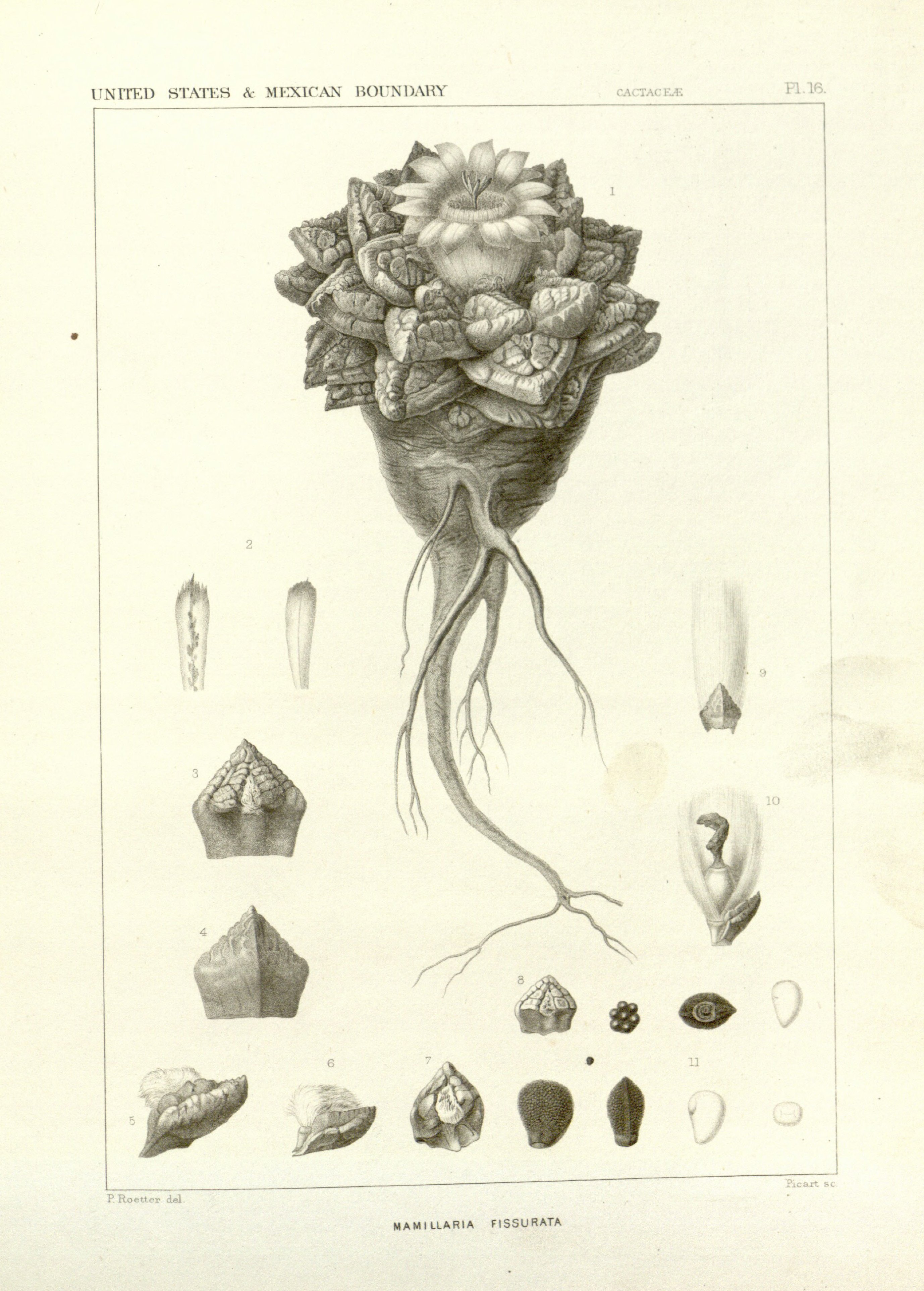 no full size  illustration available (3a)