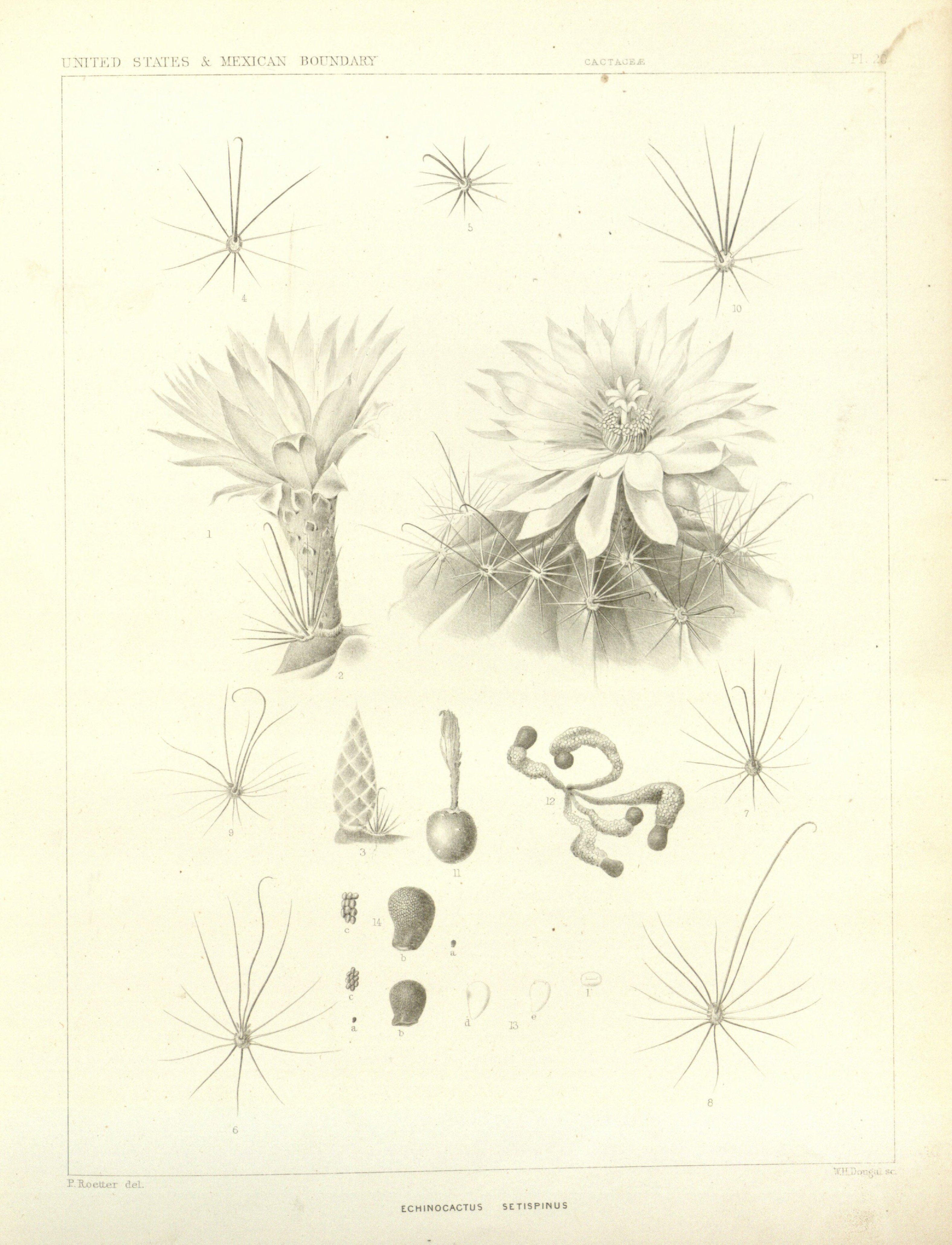 no full size  illustration available (3a)