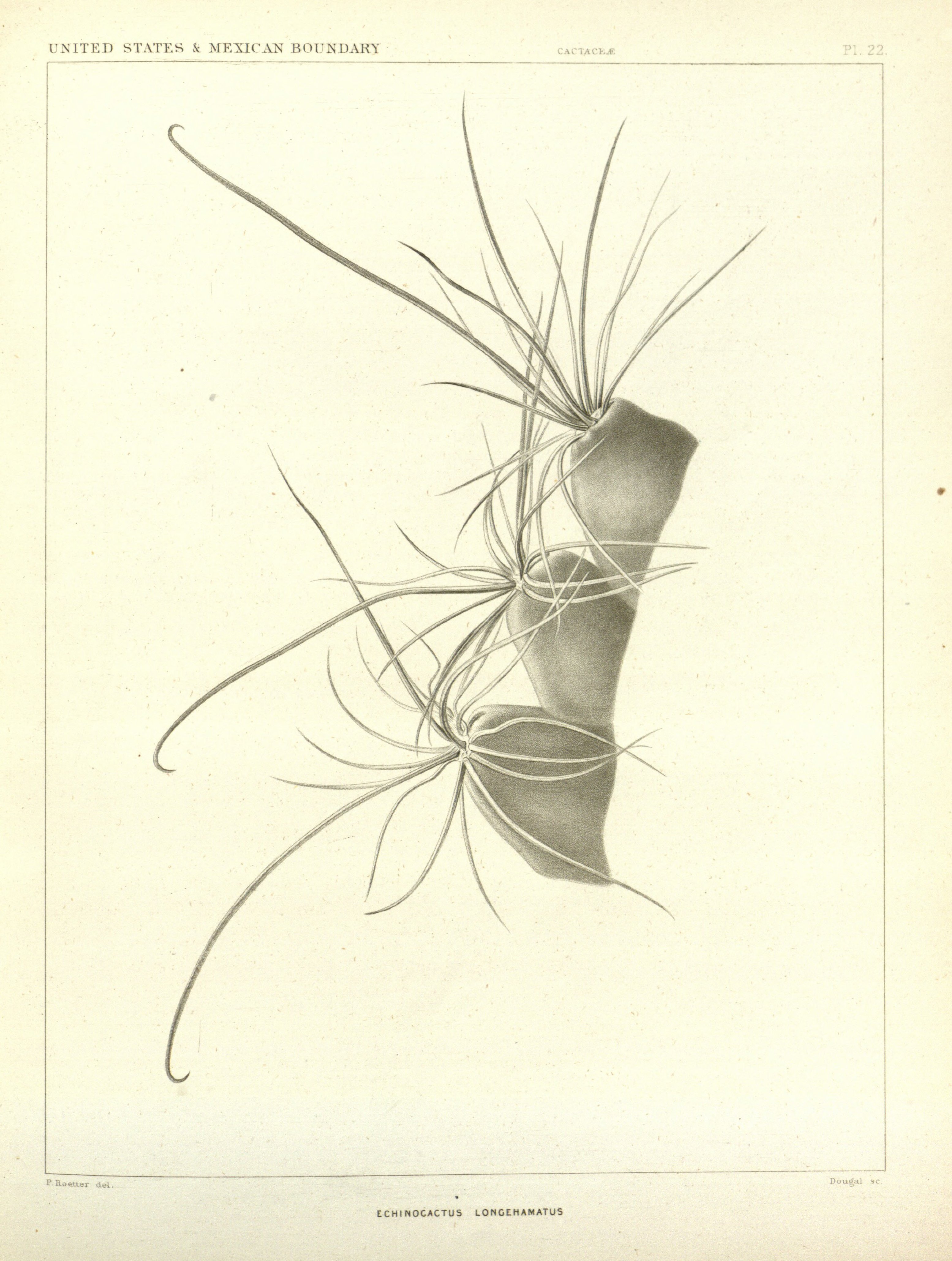 no full size  illustration available (3a)