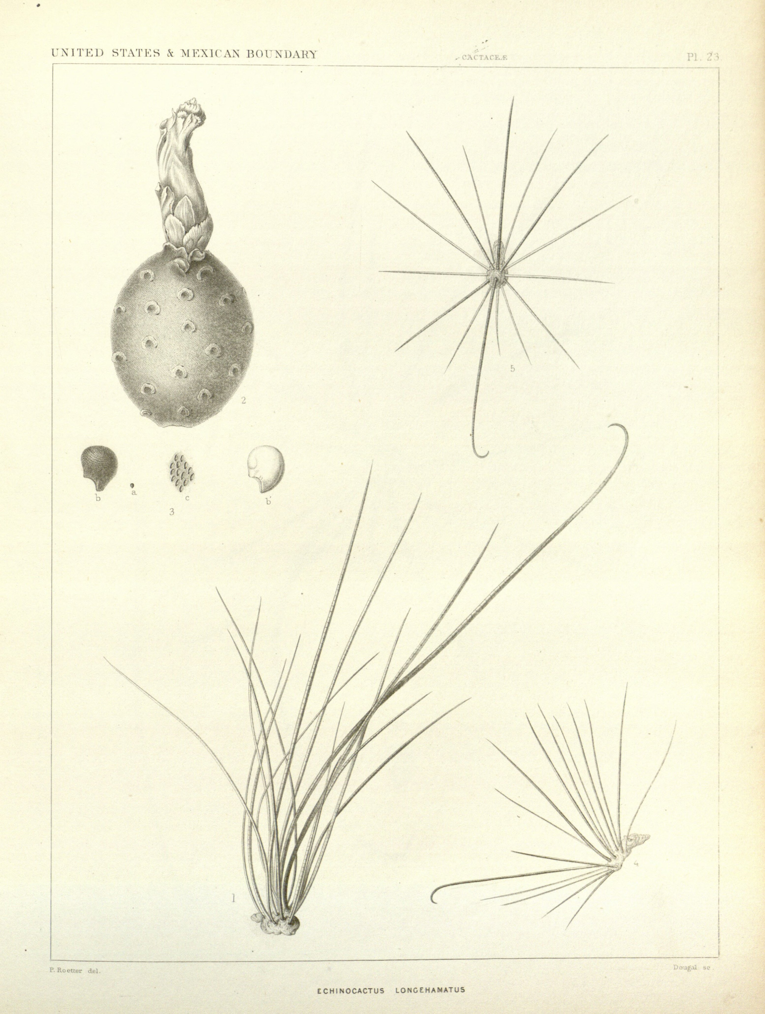 no full size  illustration available (3a)