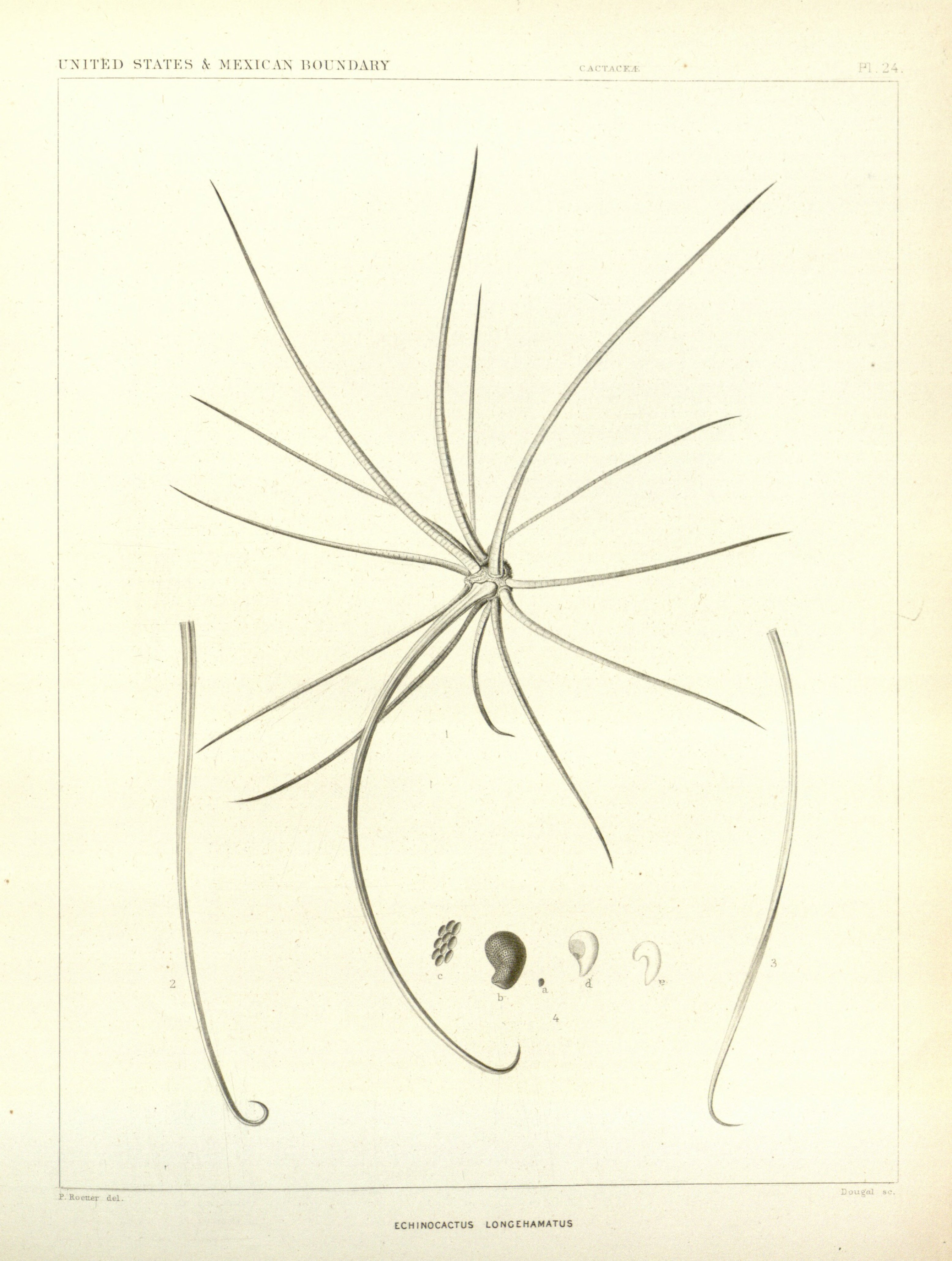 no full size  illustration available (3a)