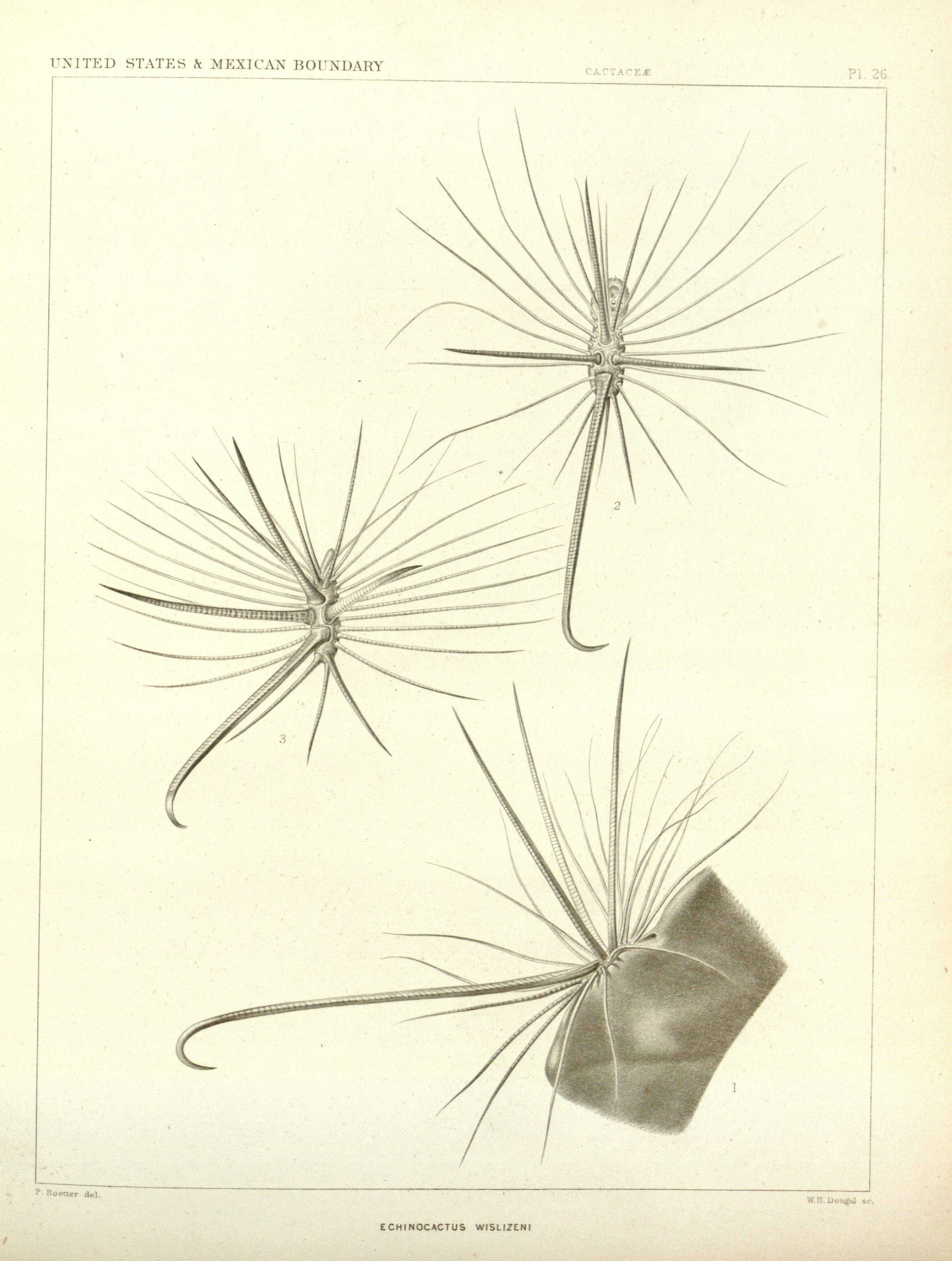 no full size  illustration available (3a)