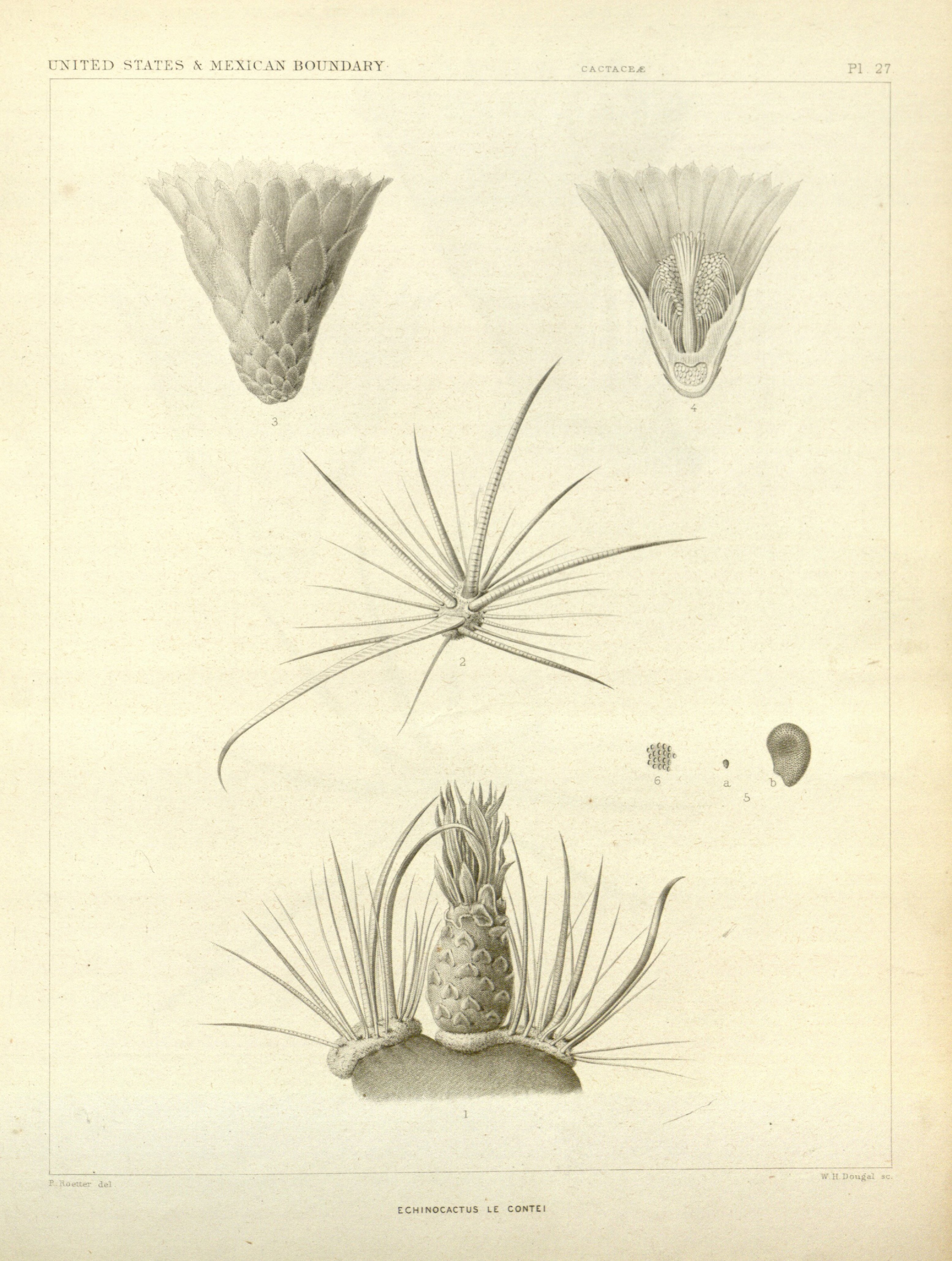 no full size  illustration available (3a)