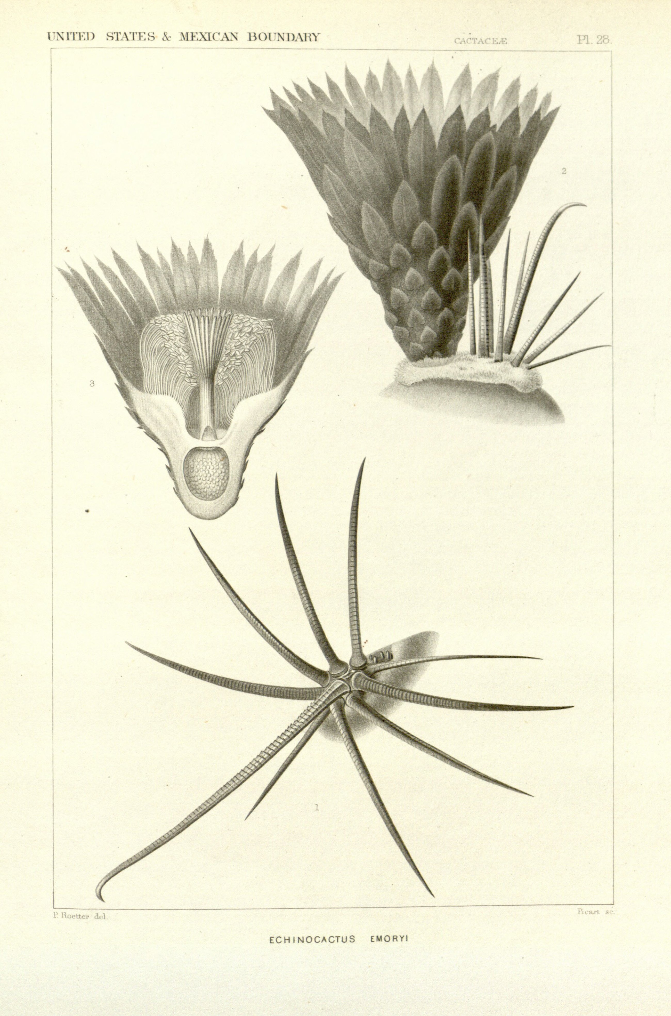 no full size  illustration available (3a)