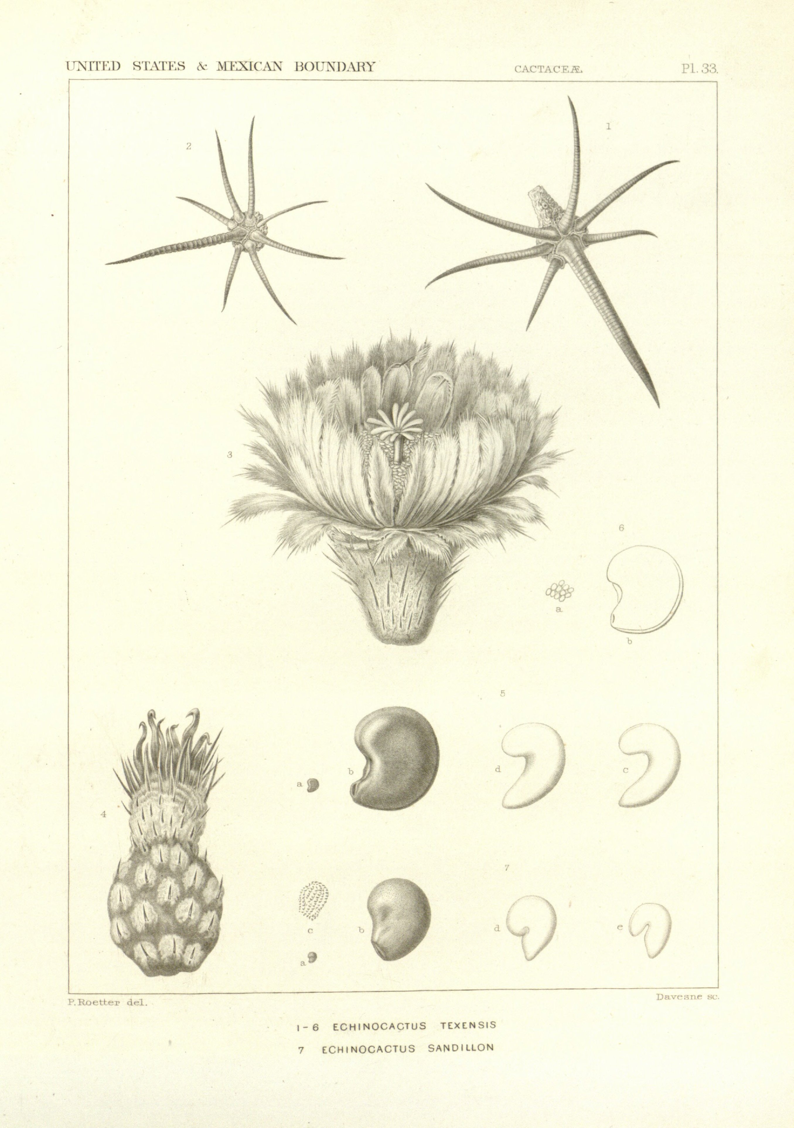 no full size  illustration available (3a)