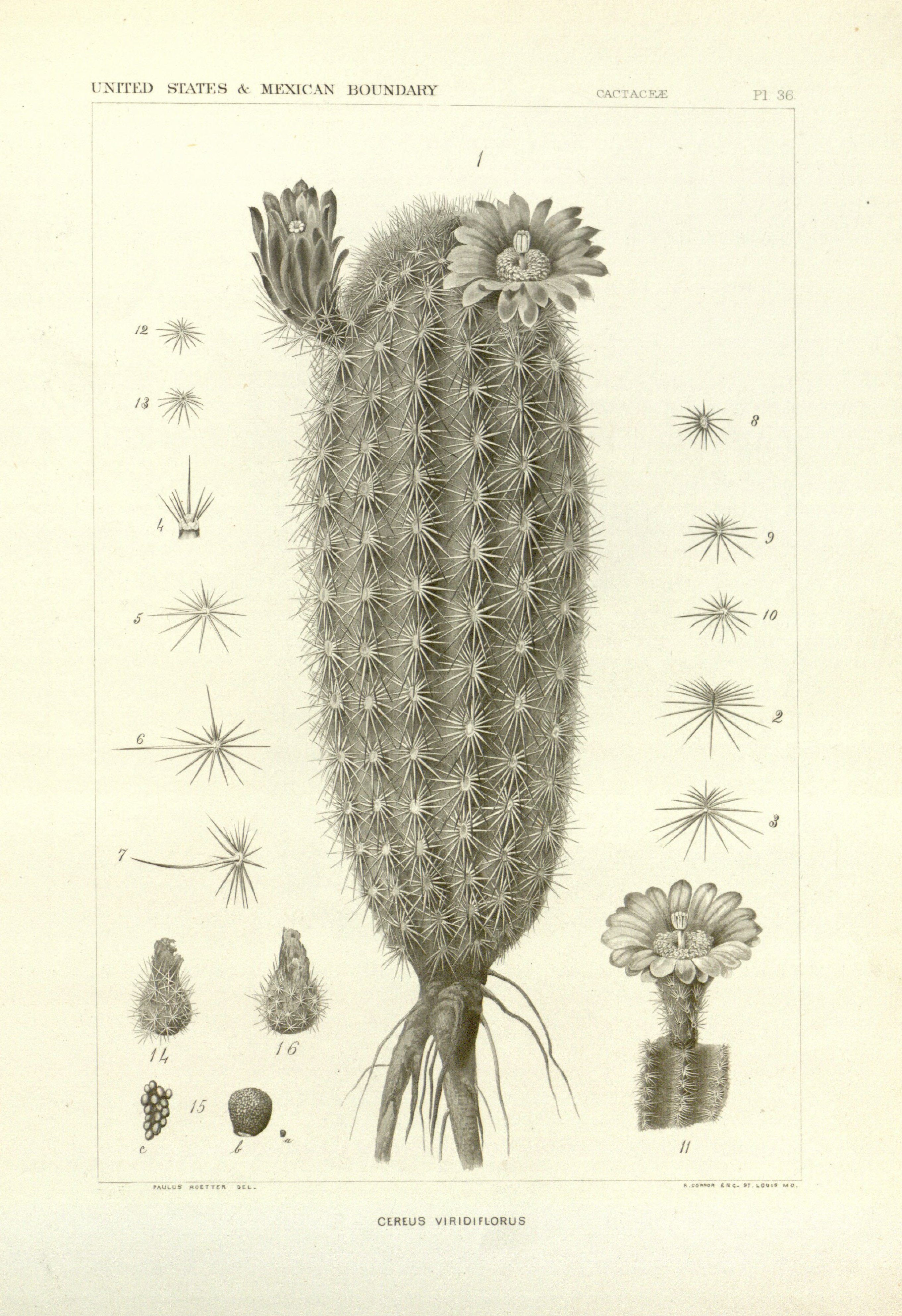 no full size  illustration available (3a)