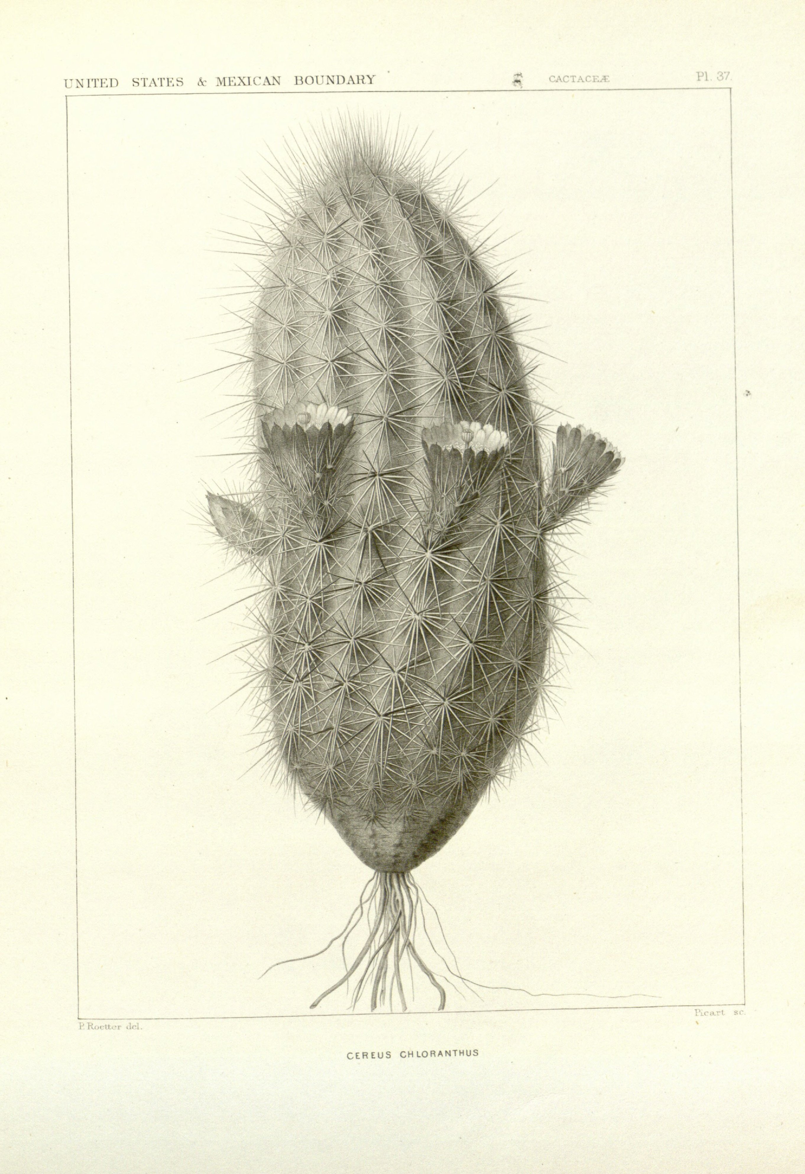 no full size  illustration available (3a)