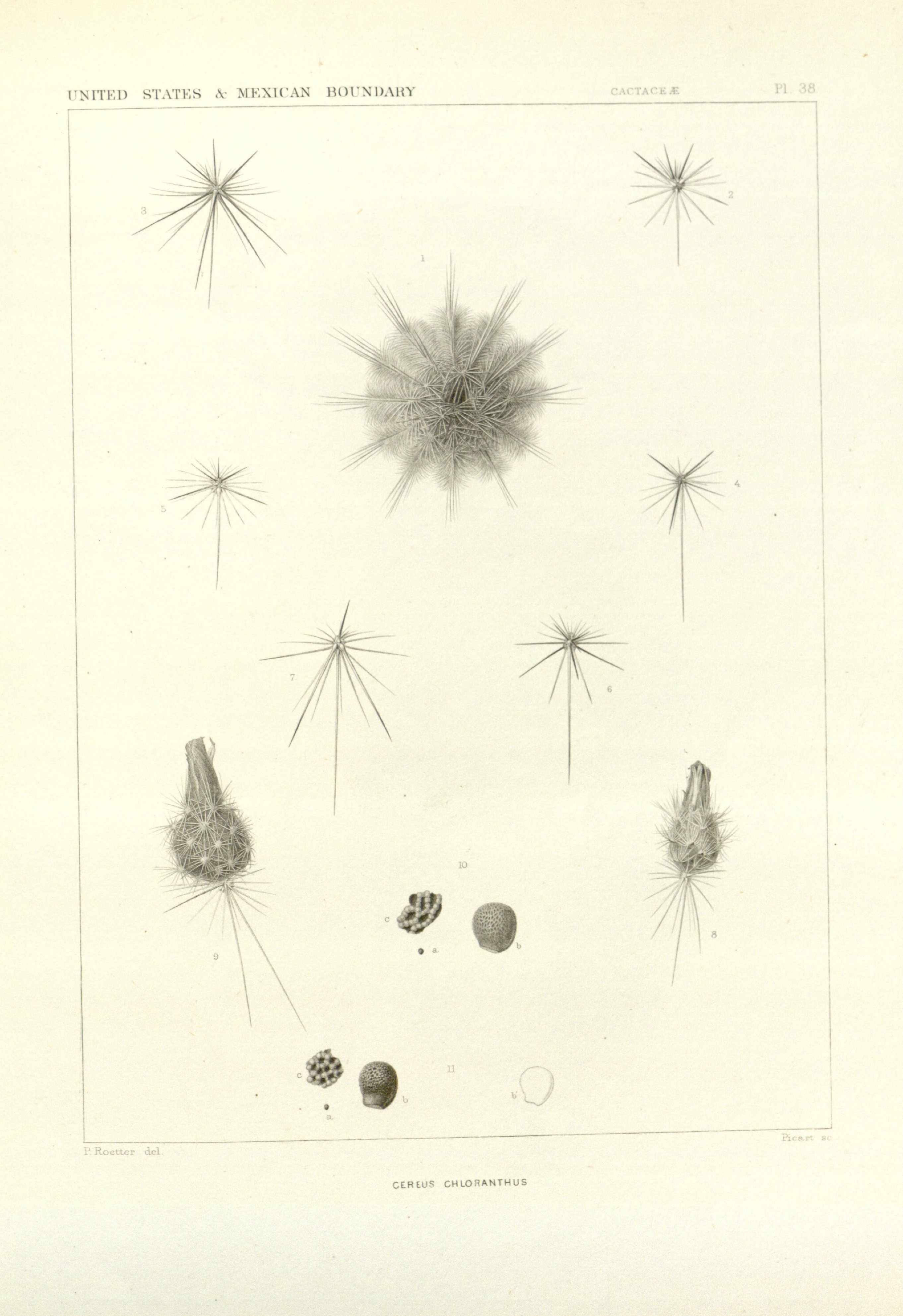 no full size  illustration available (3a)