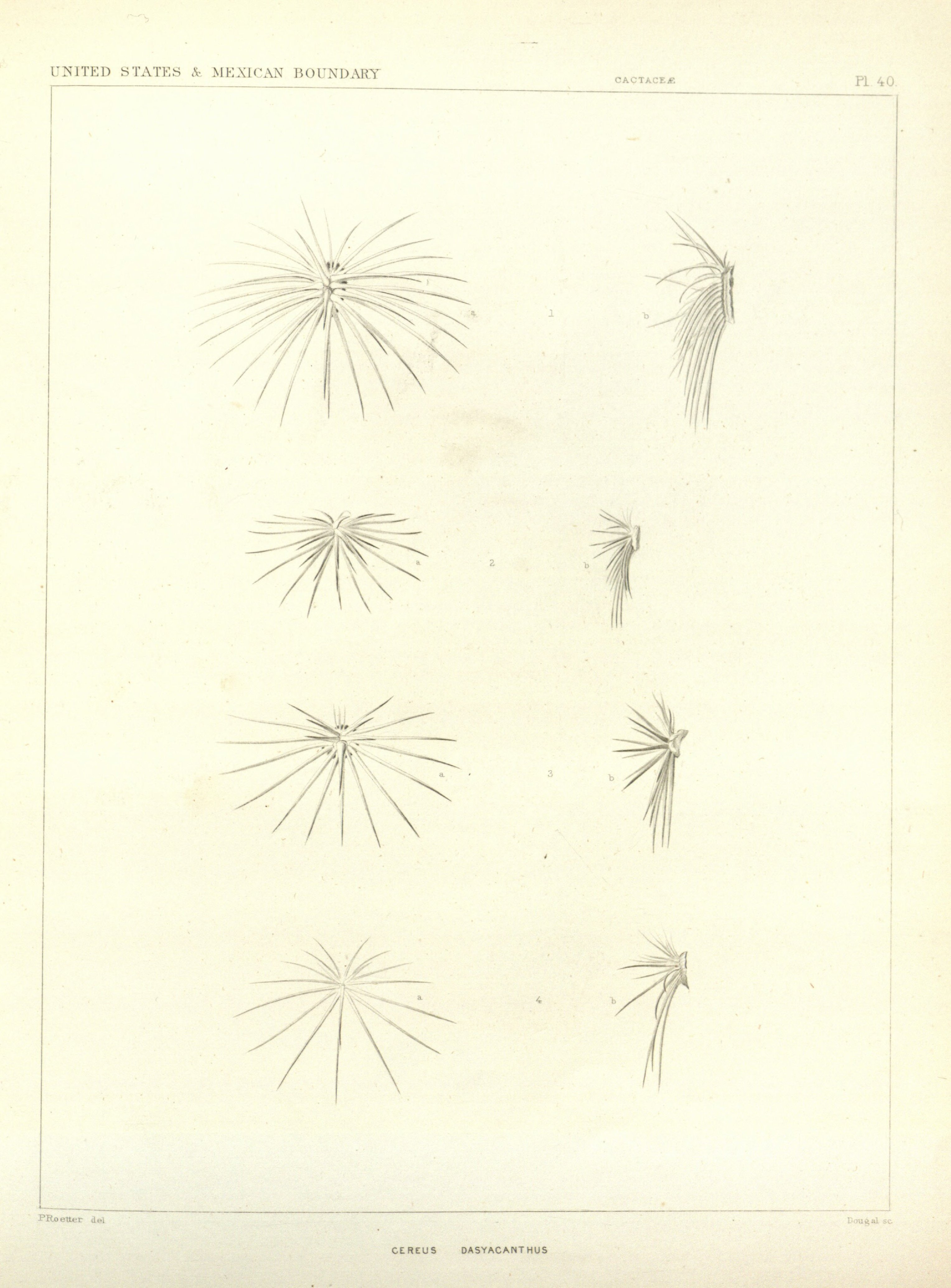 no full size  illustration available (3a)