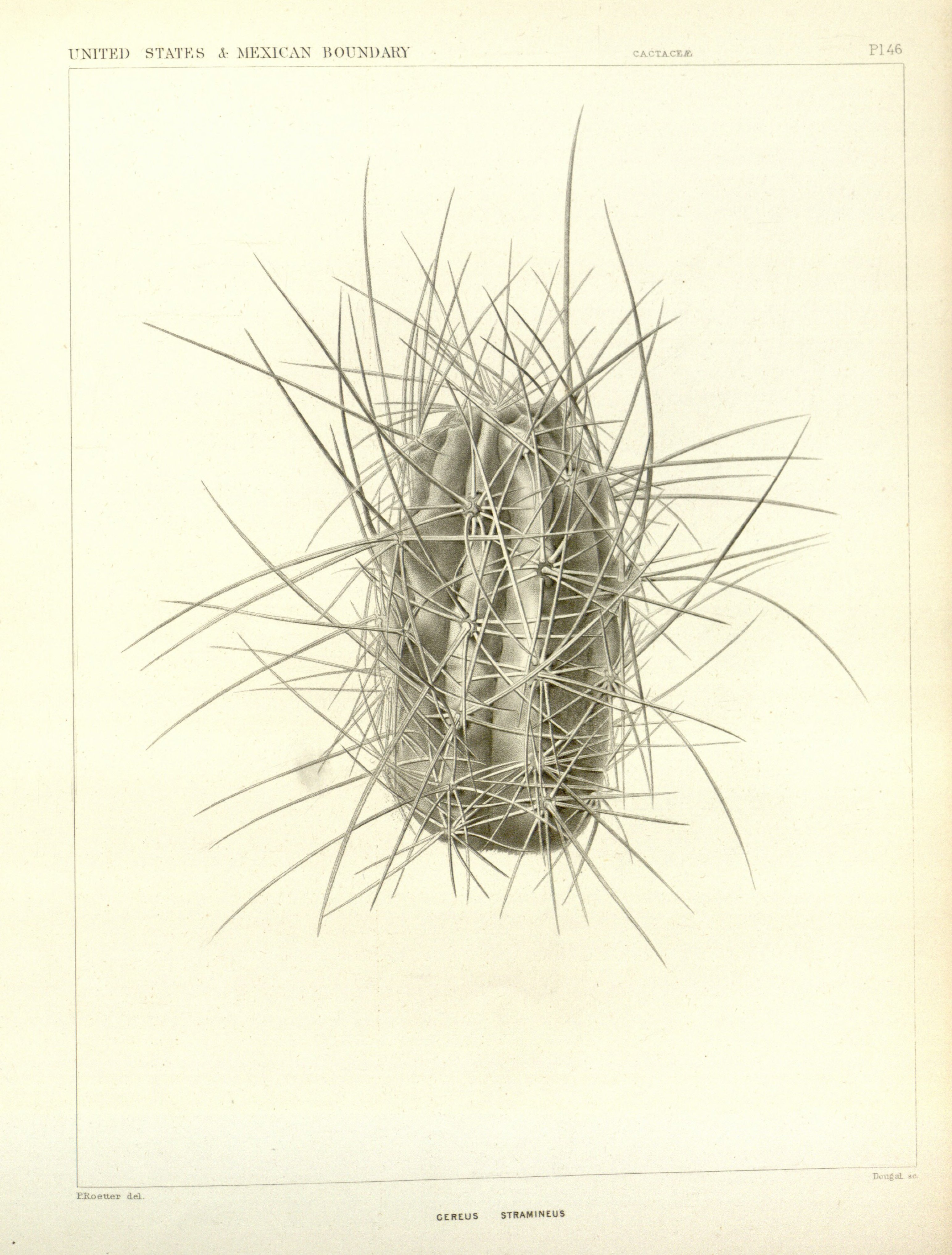 no full size  illustration available (3a)