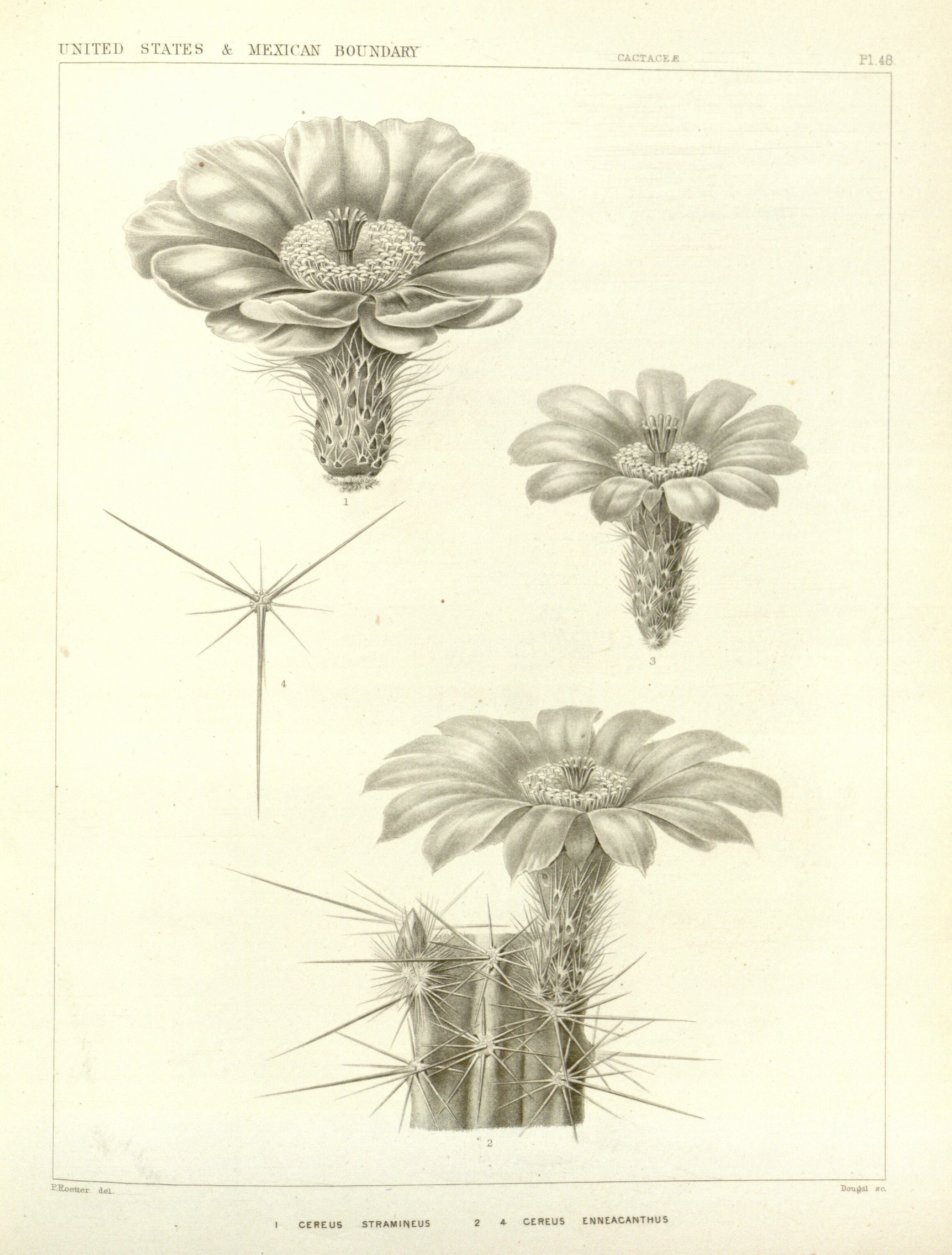 no full size  illustration available (3a)