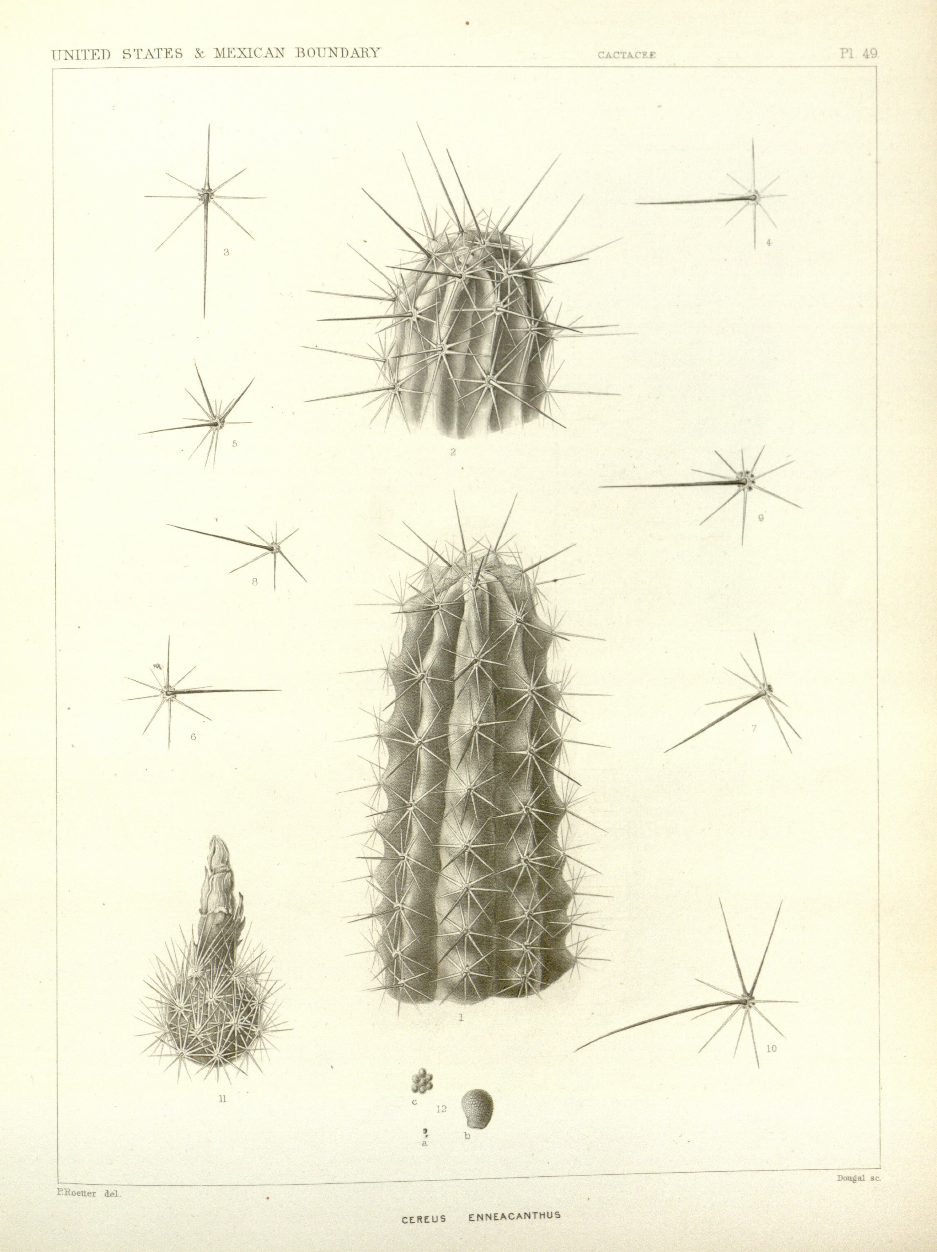 no full size  illustration available (3a)