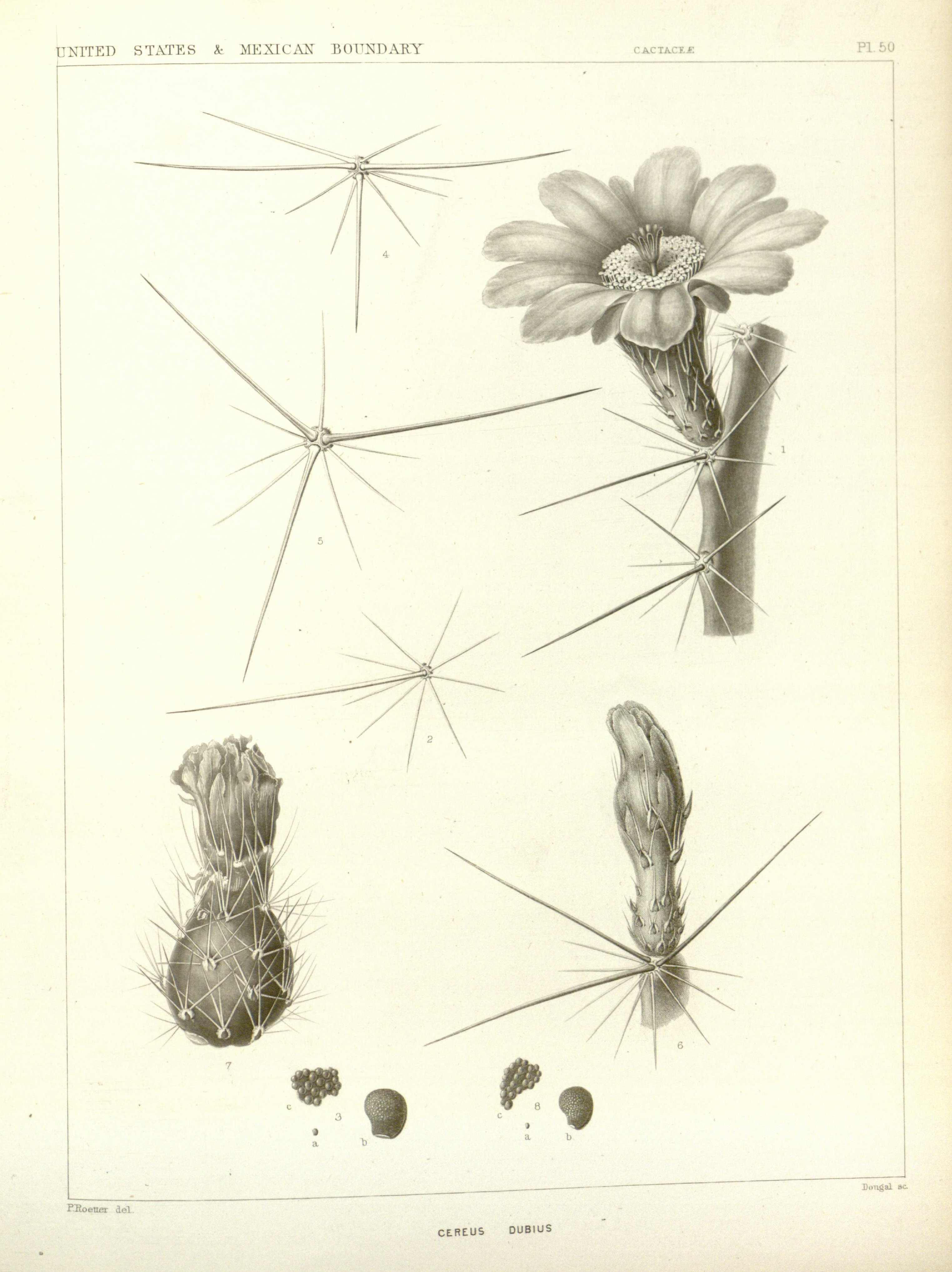 no full size  illustration available (3a)