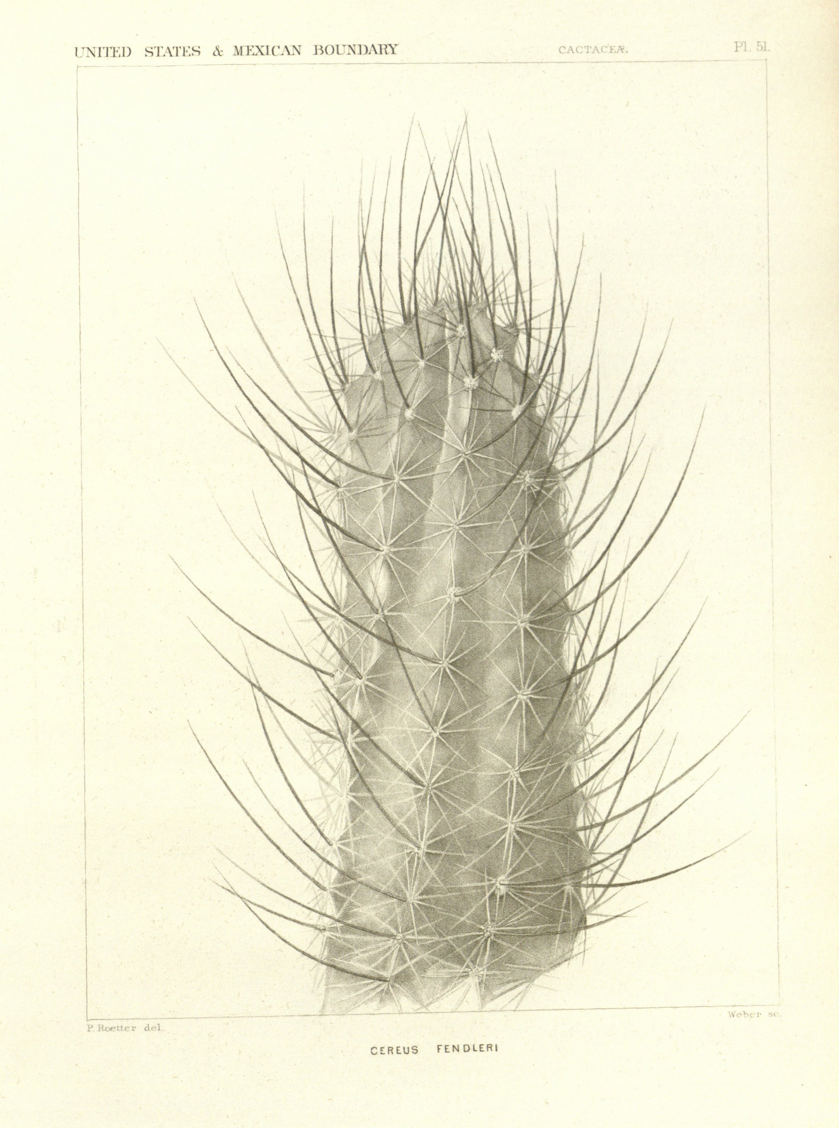 no full size  illustration available (3a)