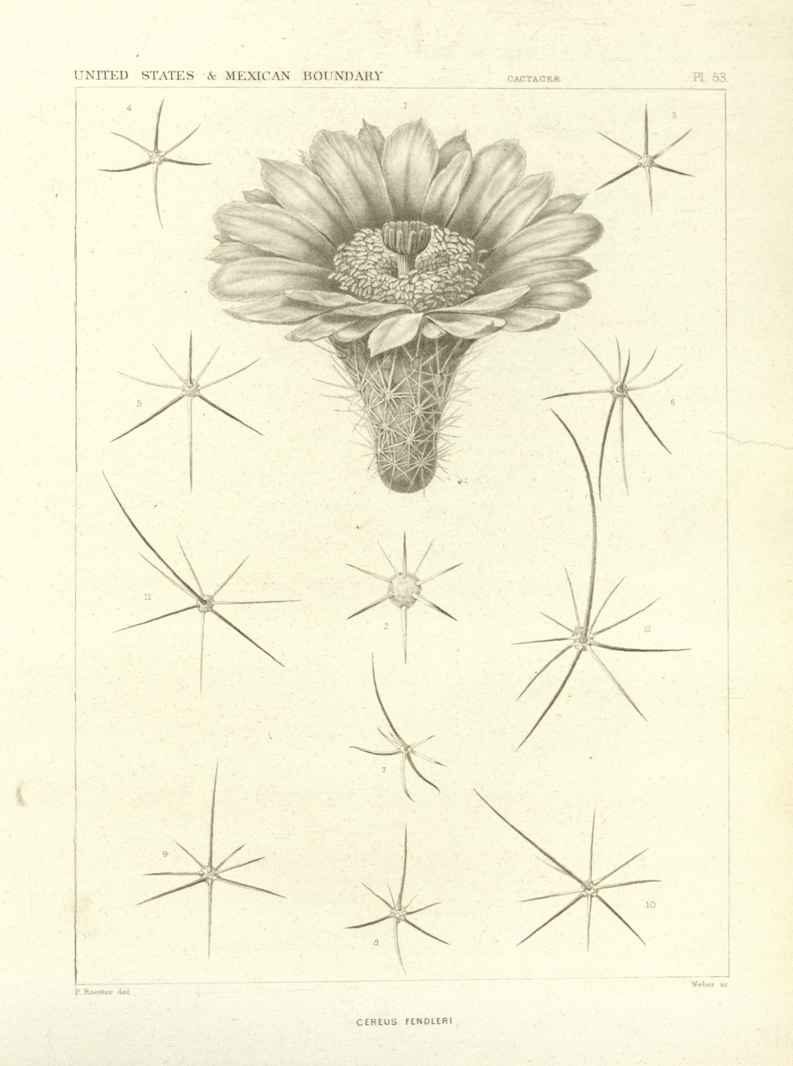 no full size  illustration available (3a)