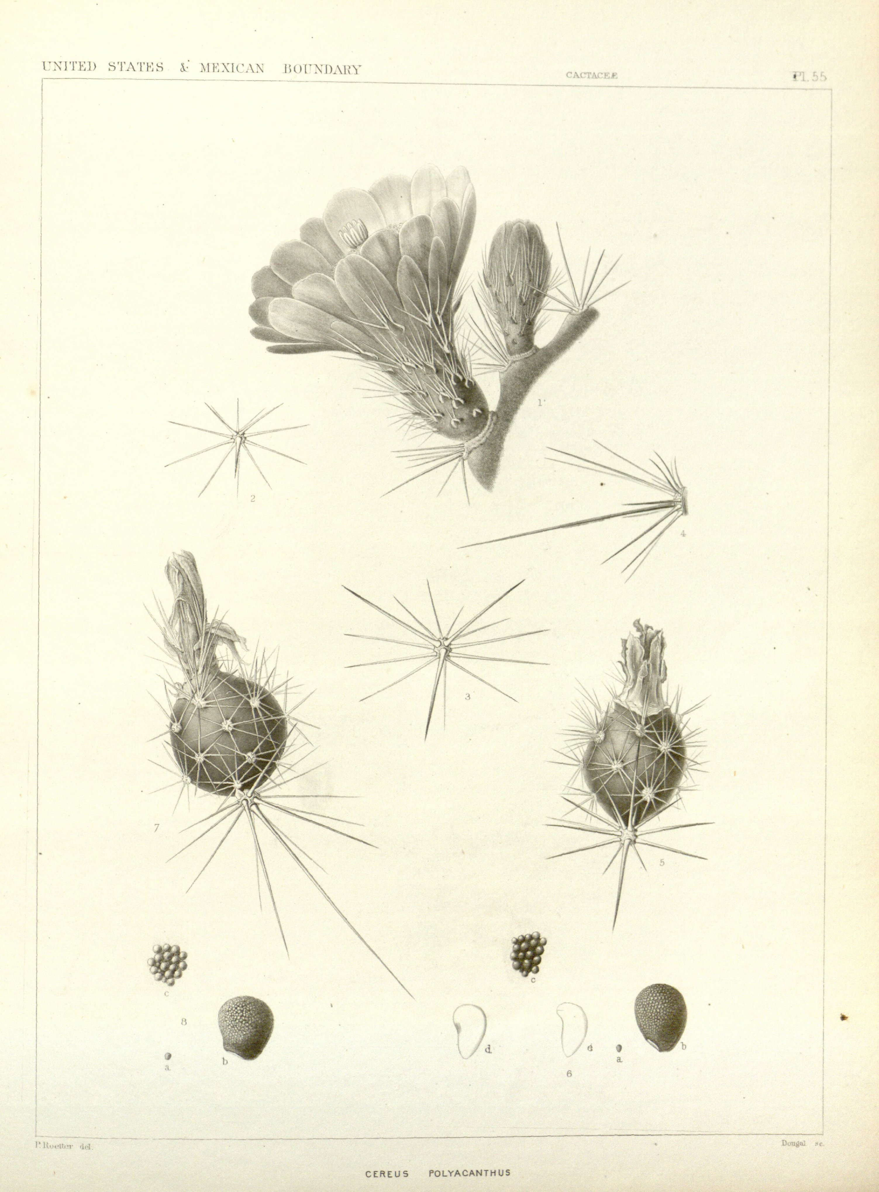 no full size  illustration available (3a)