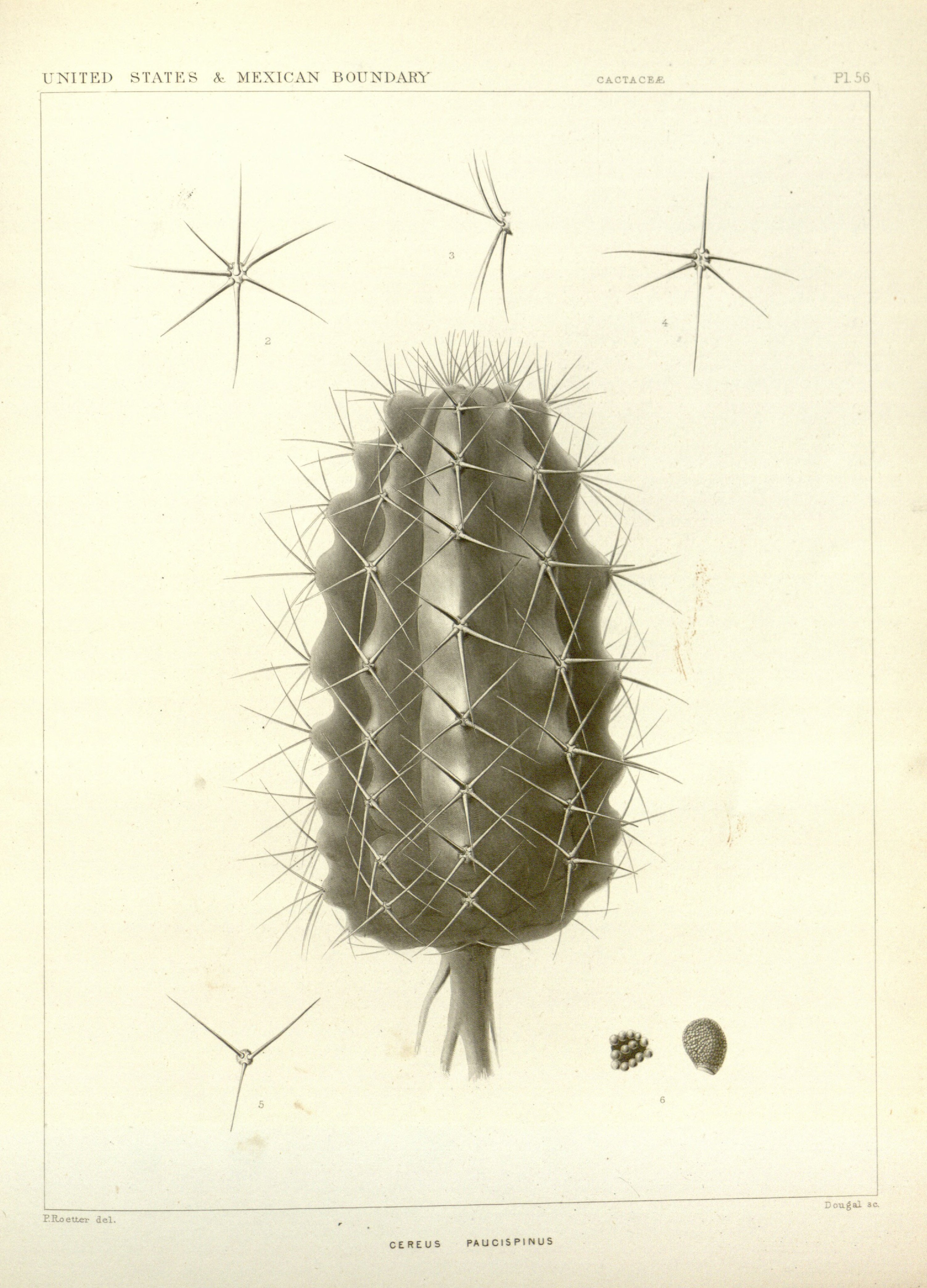 no full size  illustration available (3a)