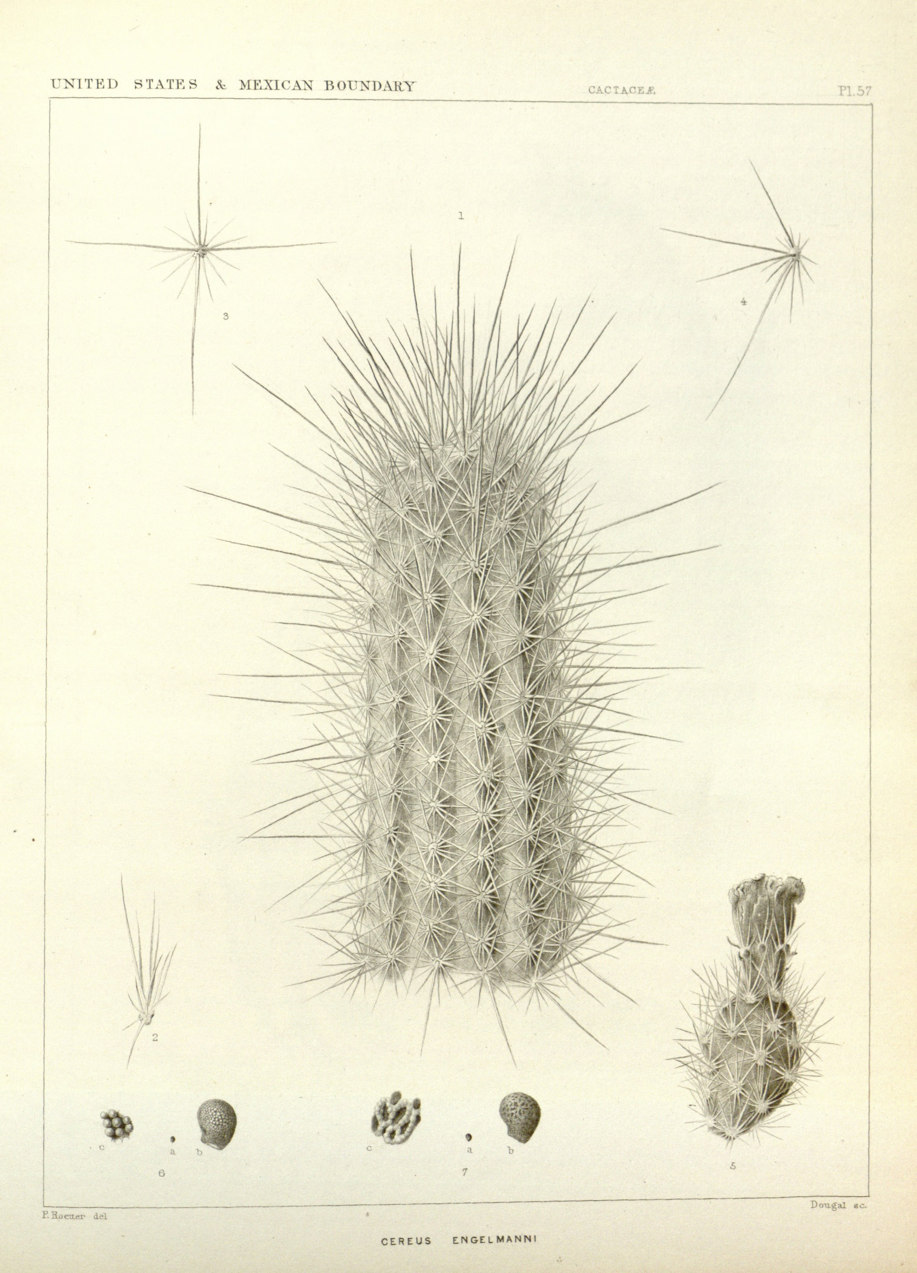 no full size  illustration available (3a)