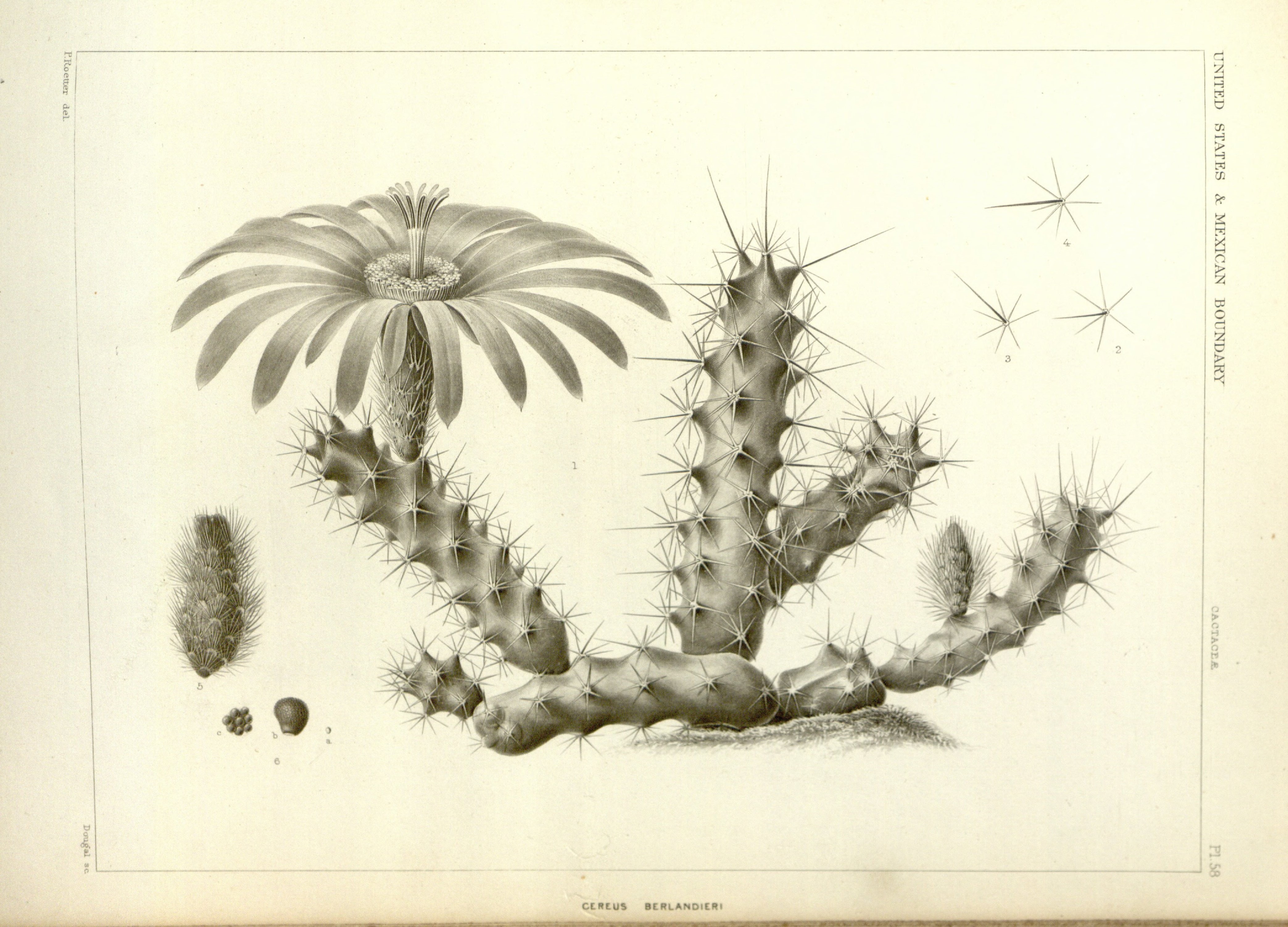 no full size  illustration available (3a)